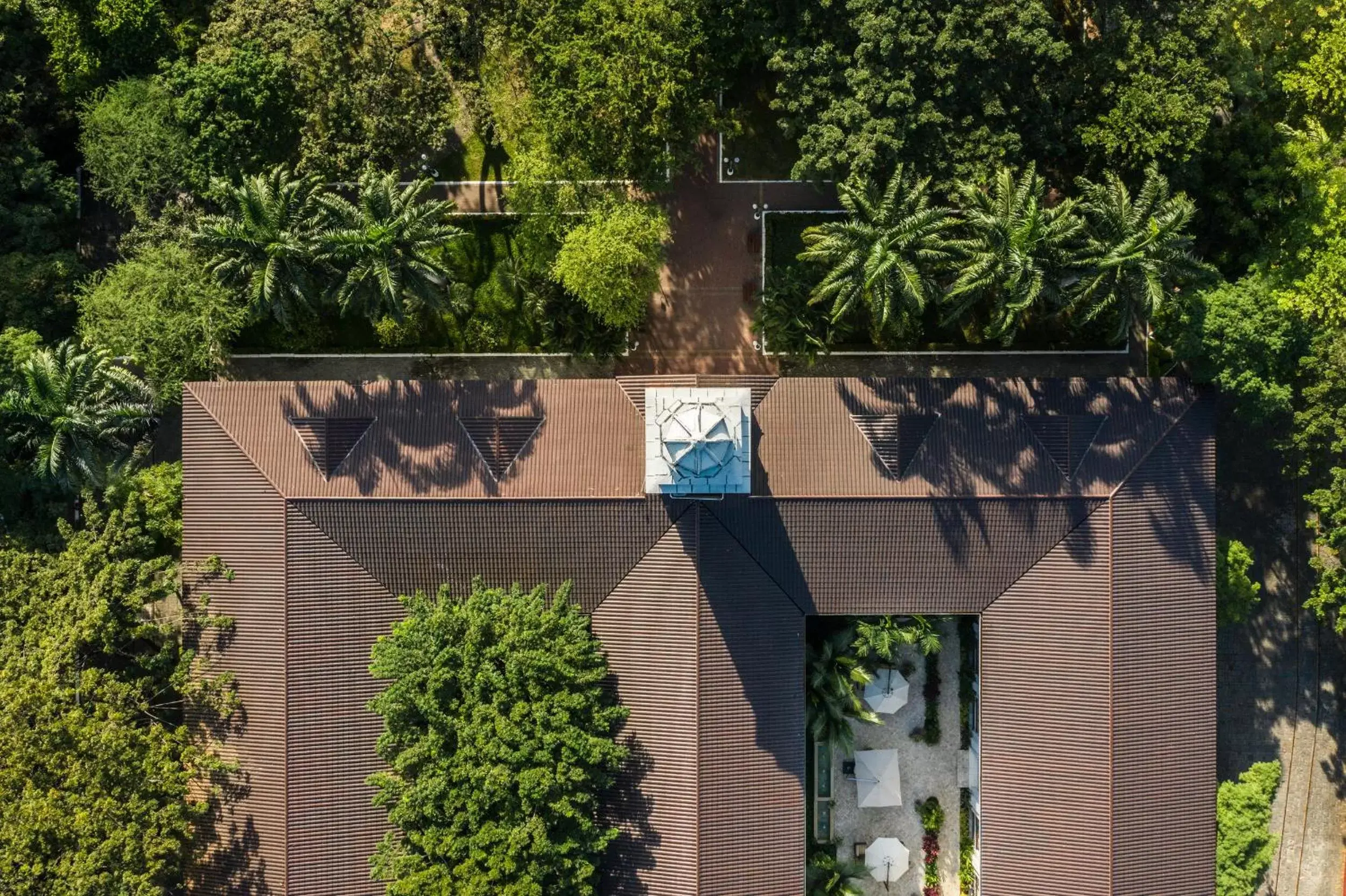 Bird's eye view in Hotel del Parque