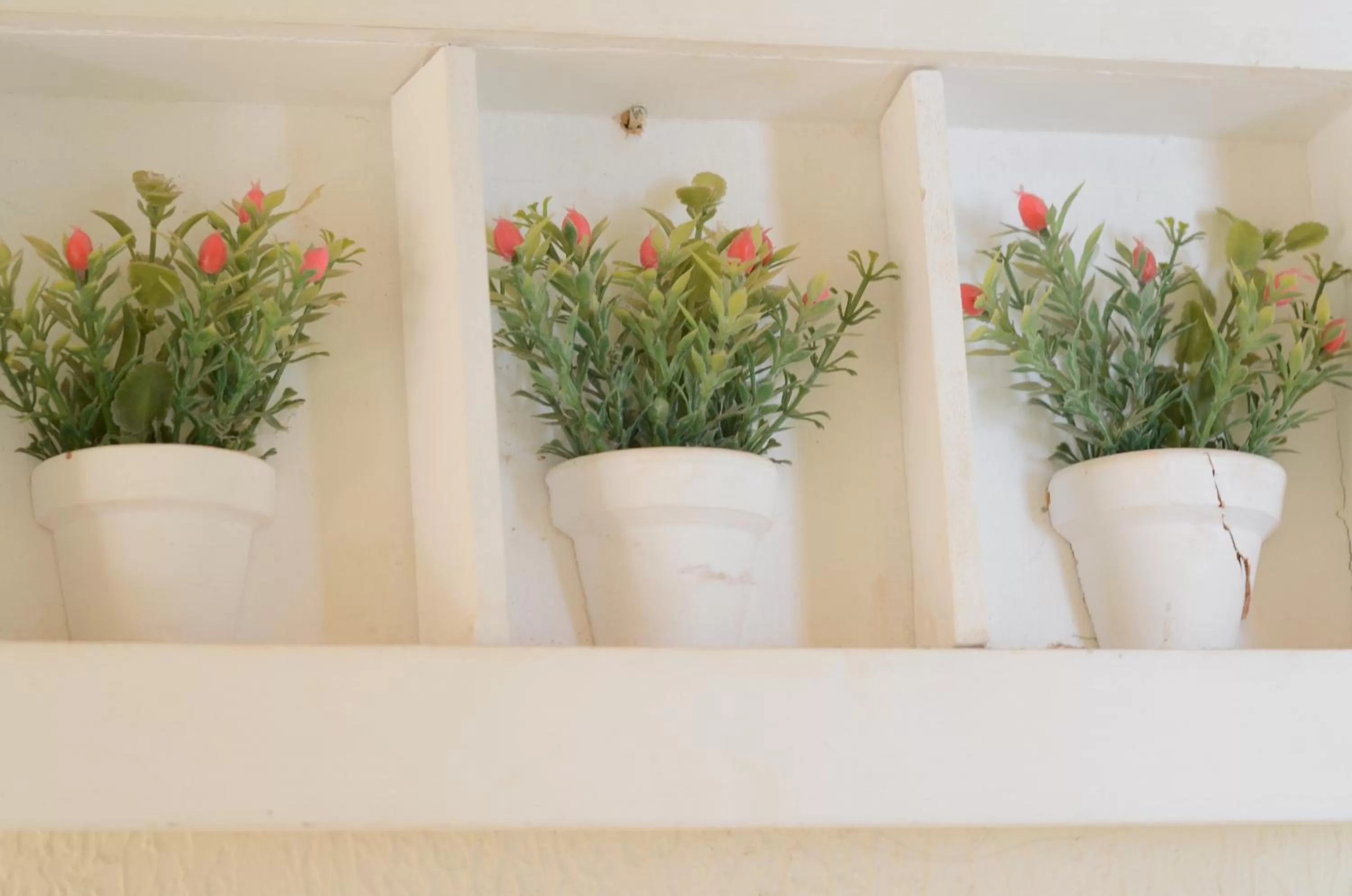 Decorative detail in Foz Casa do Turista