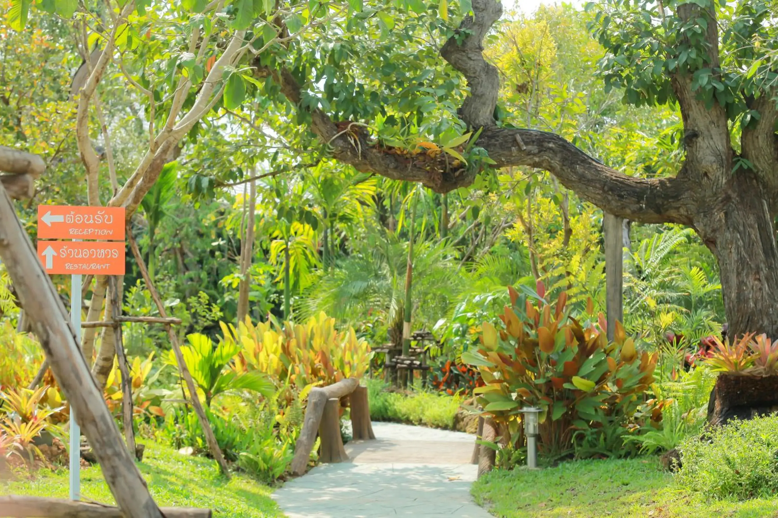 Garden in Taman Resort
