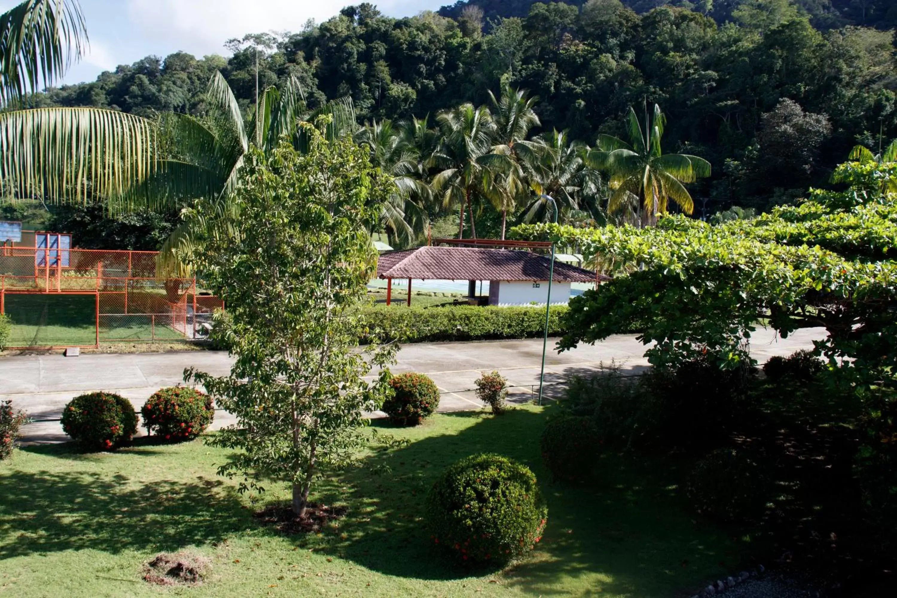 Garden in Hotel Samoa del Sur