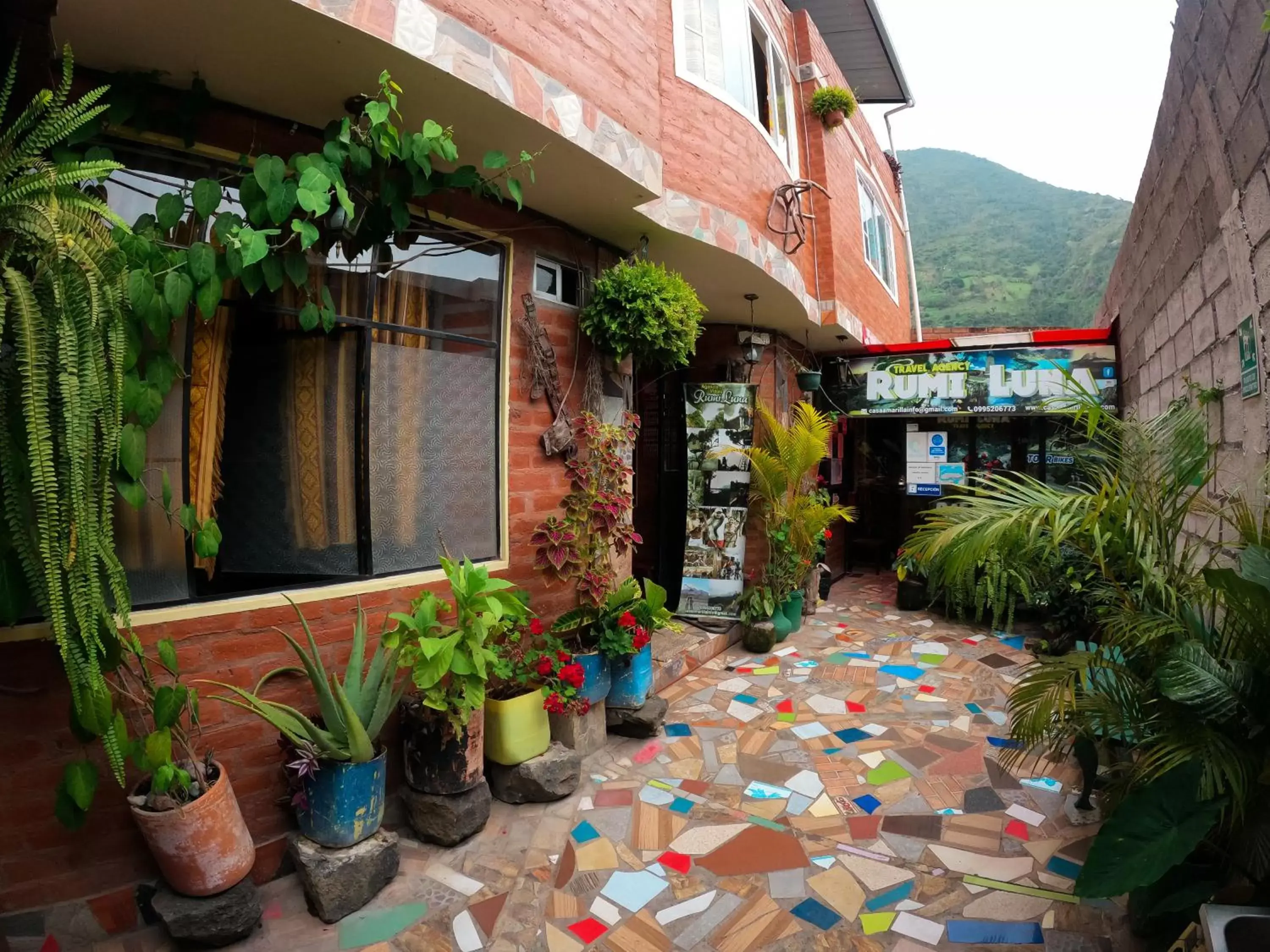 Hostal La Casa Amarilla City Hostal La Casa Amarilla City