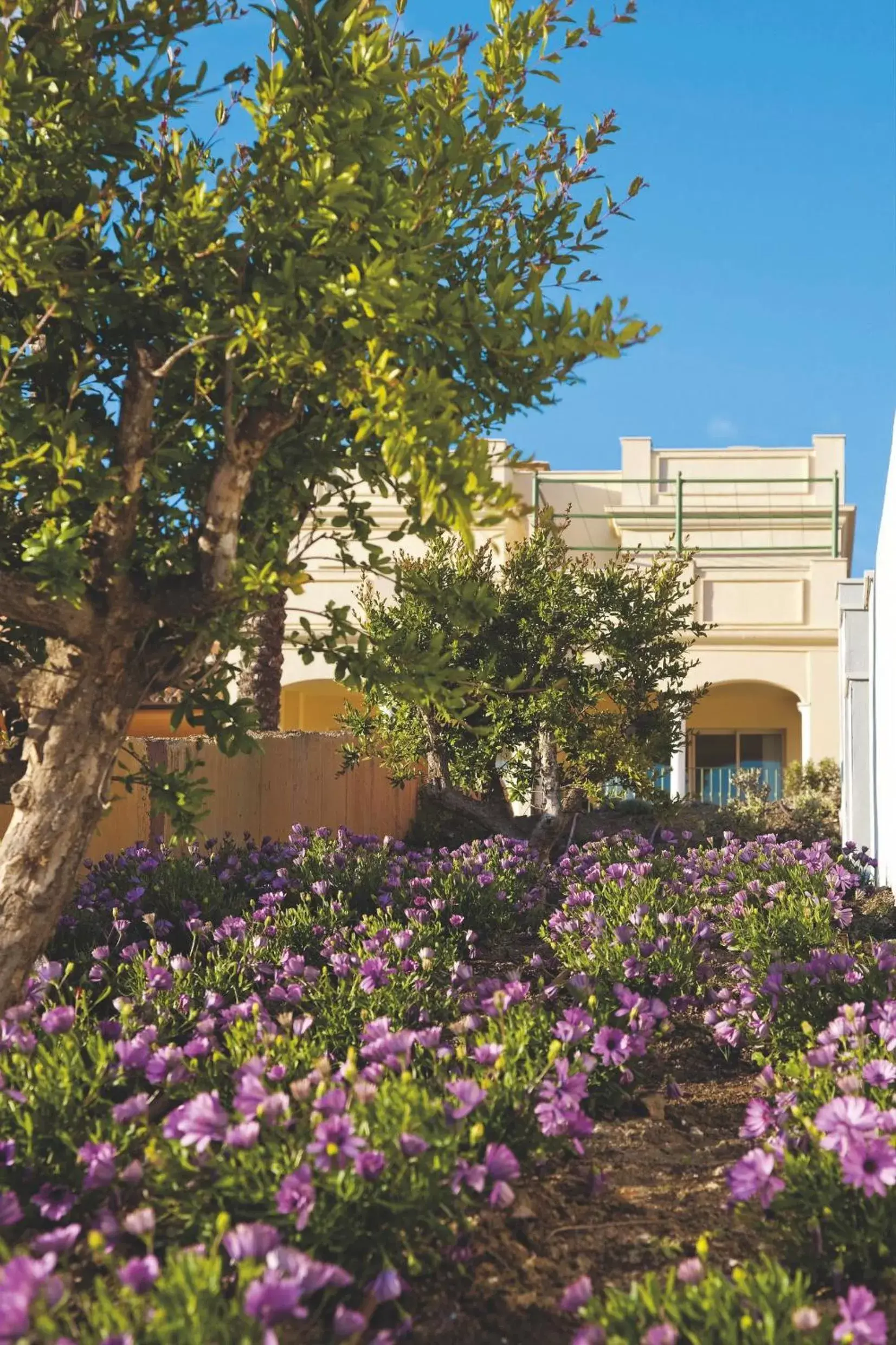 Garden, Property Building in Pierre & Vacances Resort Terrazas Costa del Sol