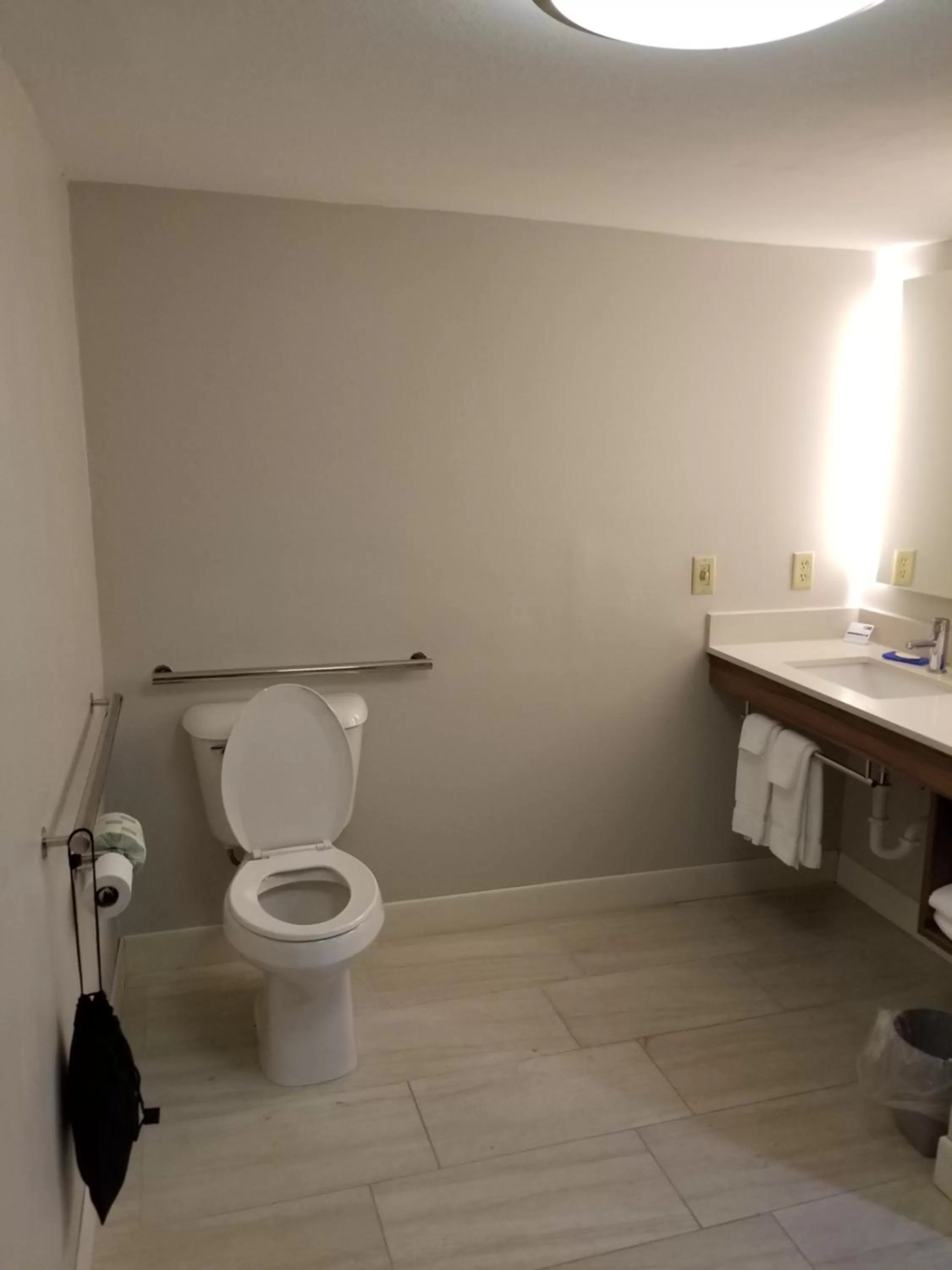 Bathroom in Holiday Inn Express Birch Run-Frankenmuth Area by IHG