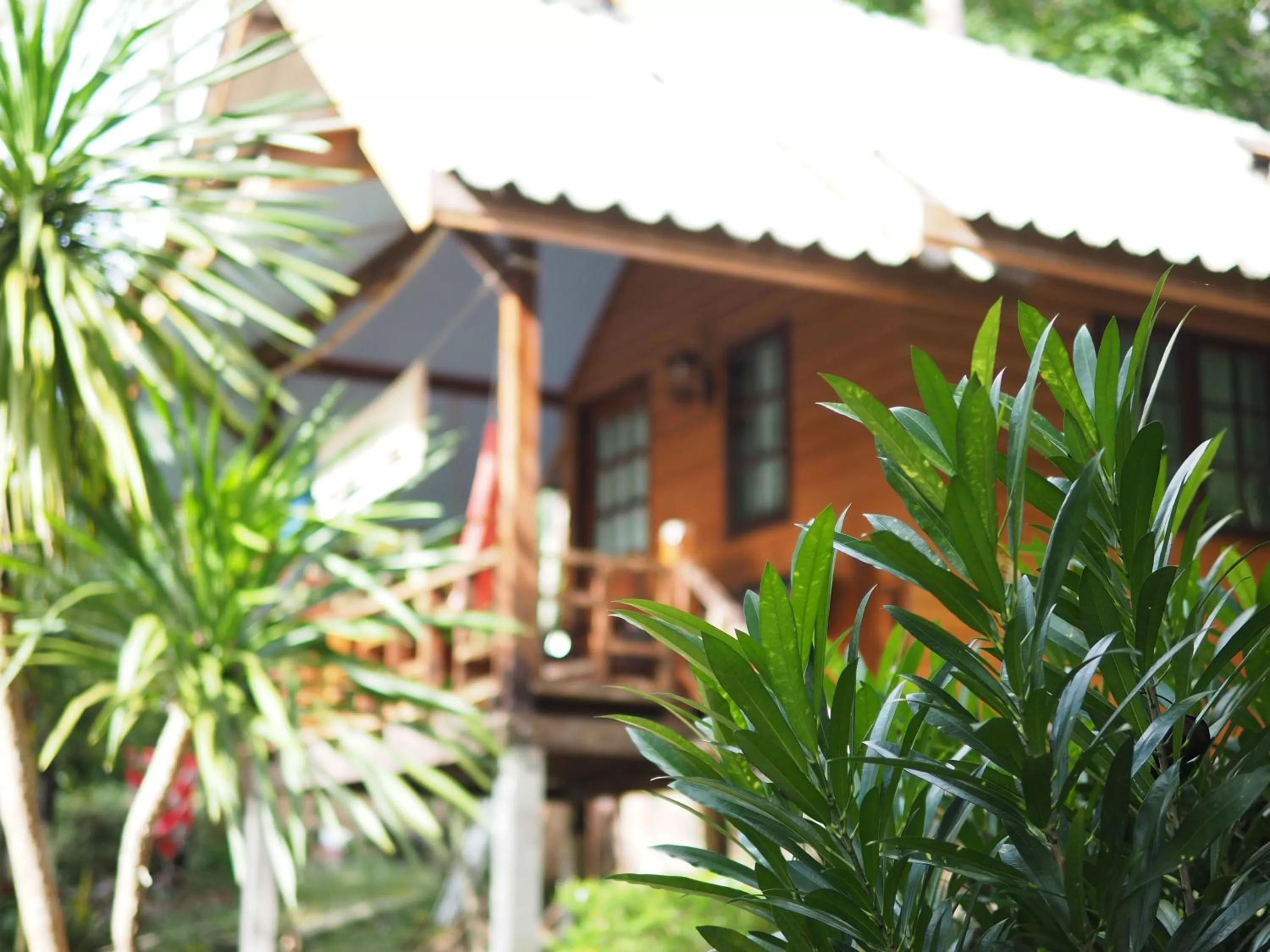 Property building in LITTLE EDEN Bungalows