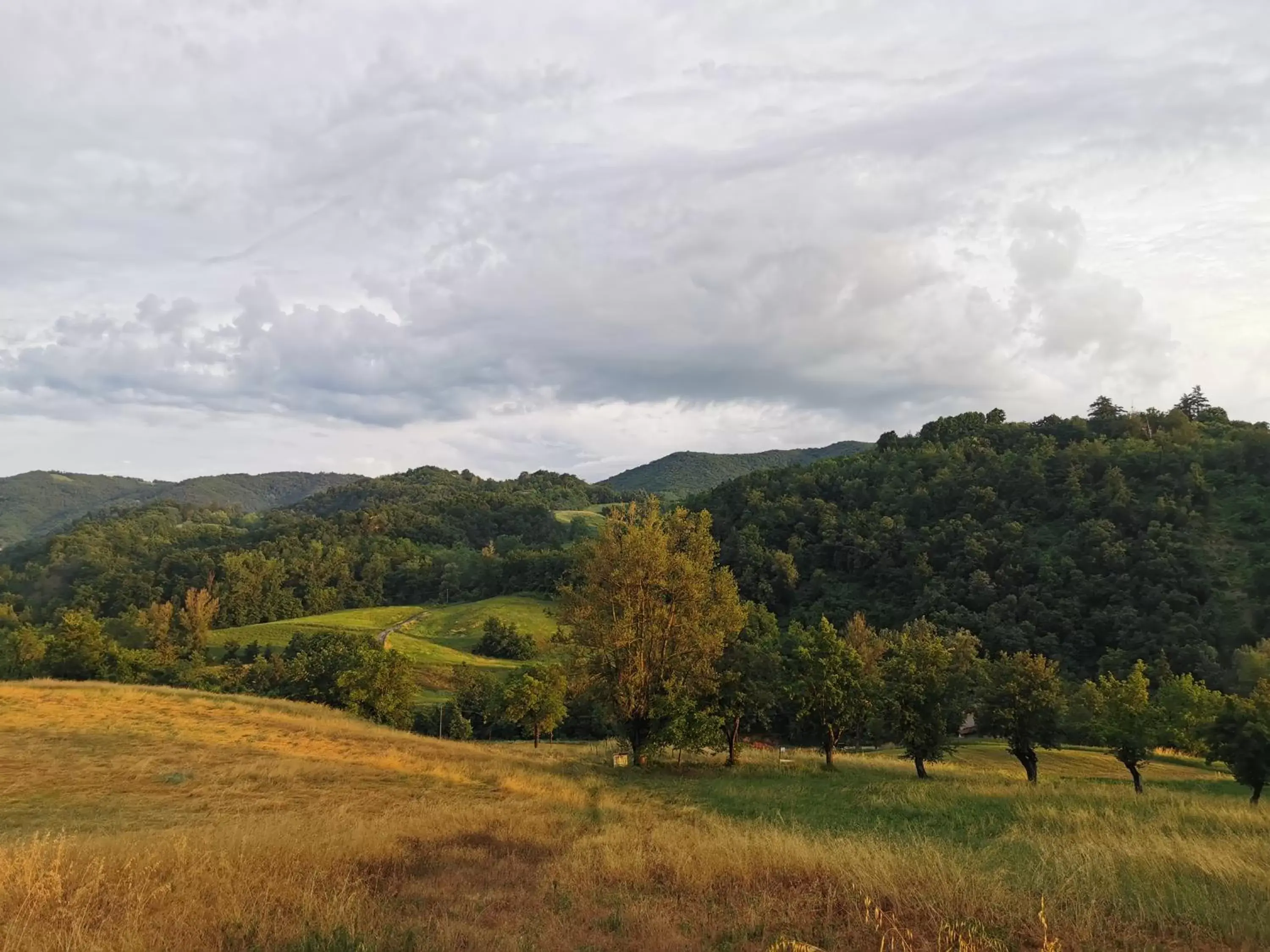 Nearby landmark, Natural Landscape in Luci nel Bosco