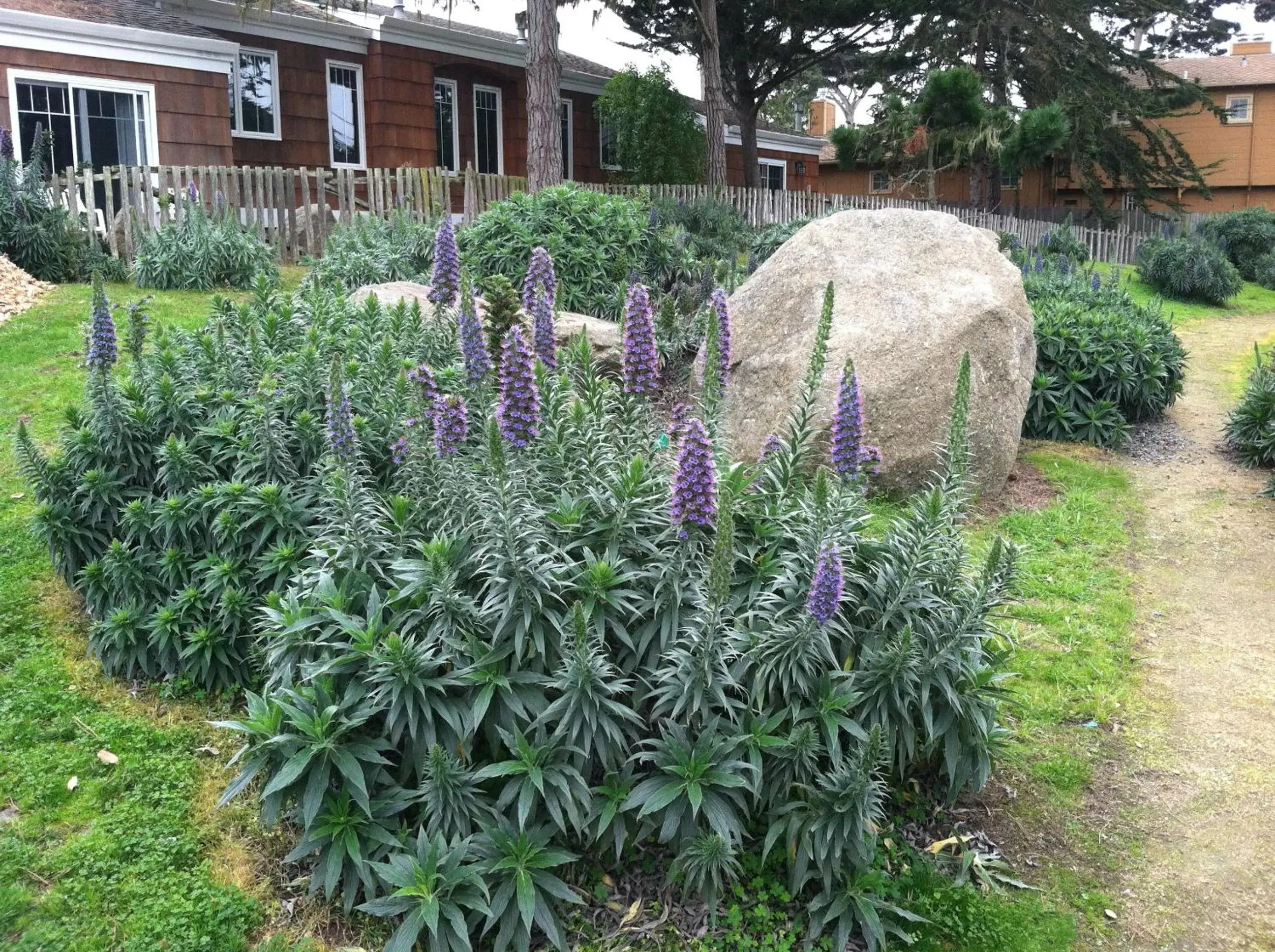 Decorative detail, Garden in Lighthouse Lodge & Cottages