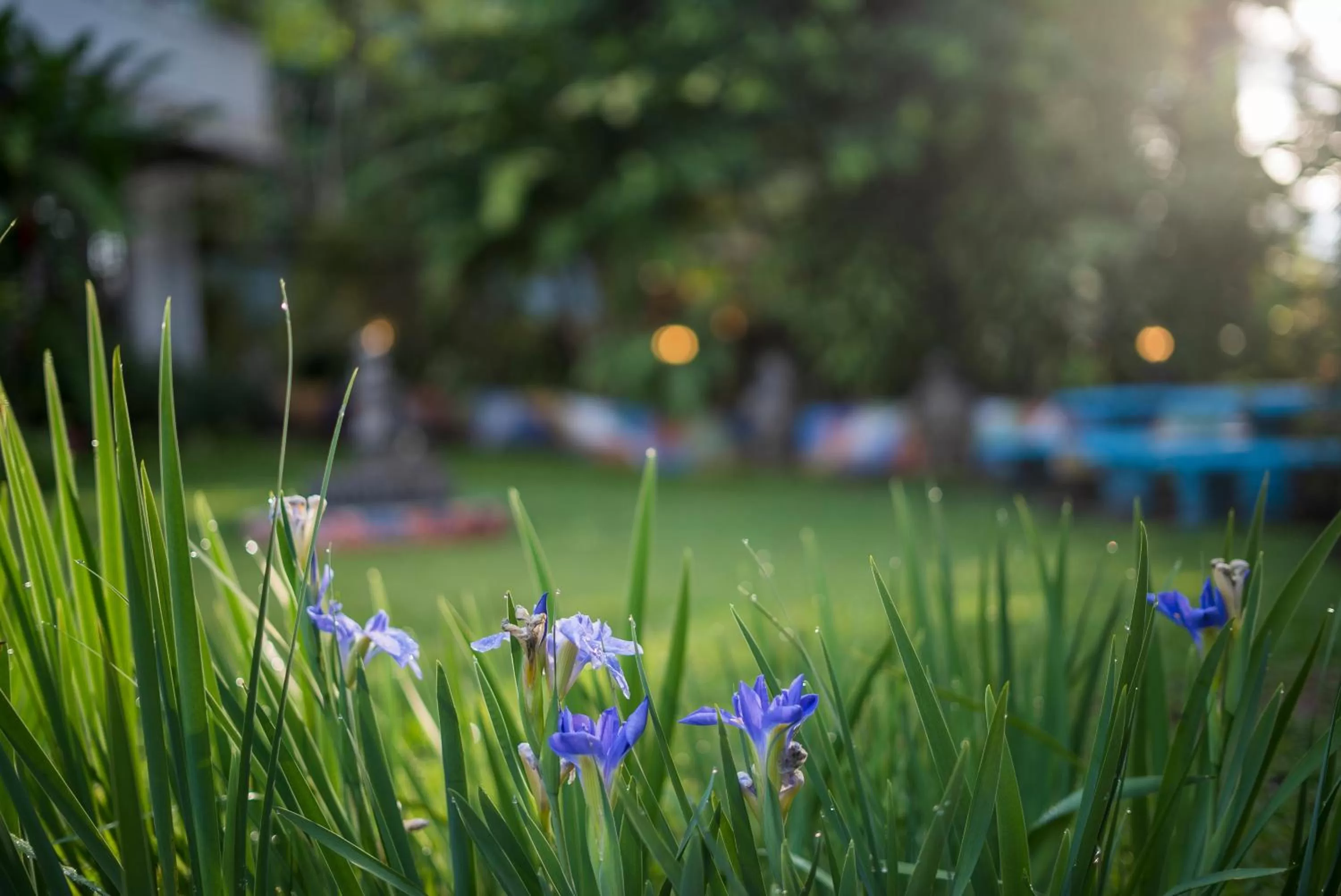 Hotel Ave del Paraíso