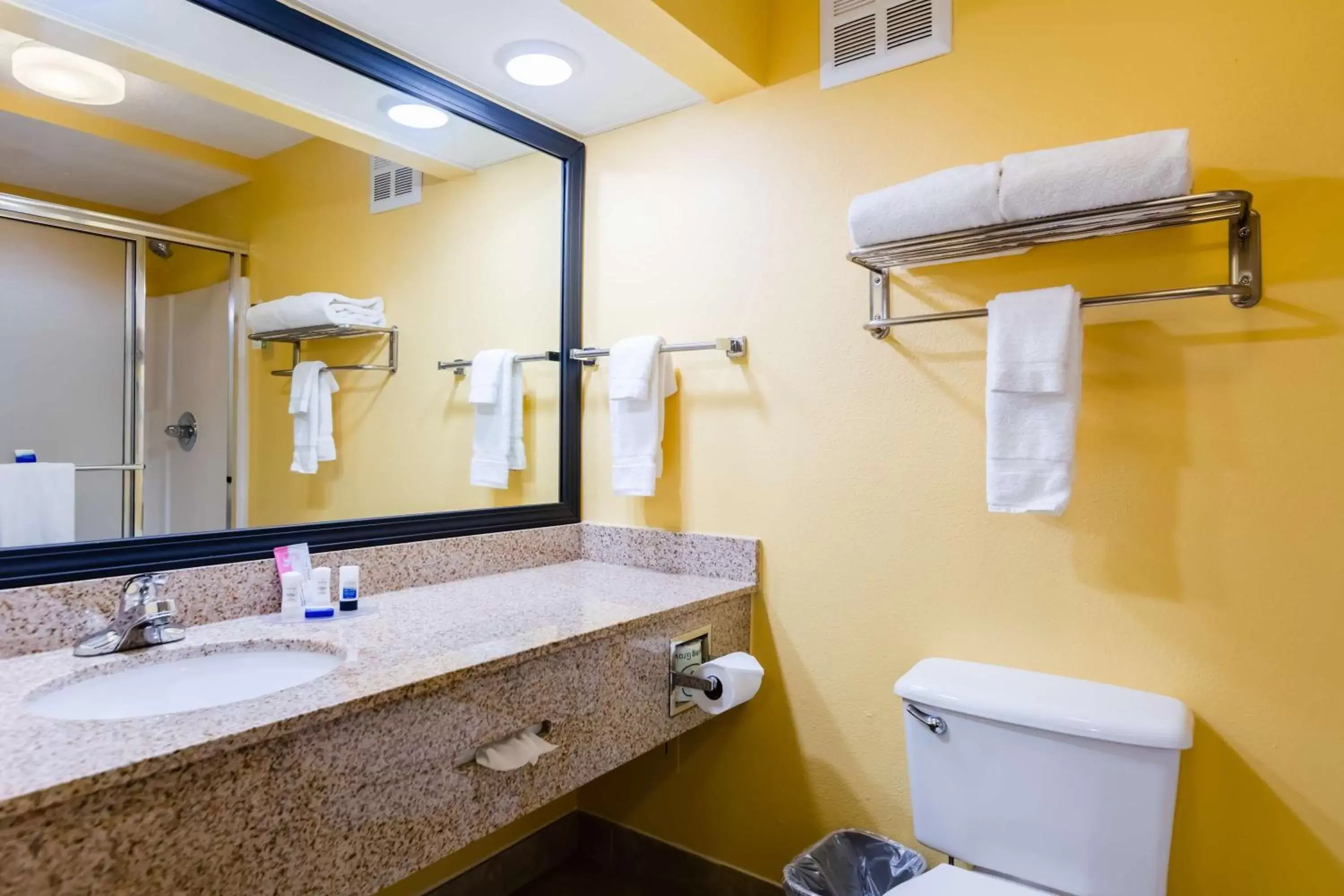 Bathroom in Best Western Milton Inn