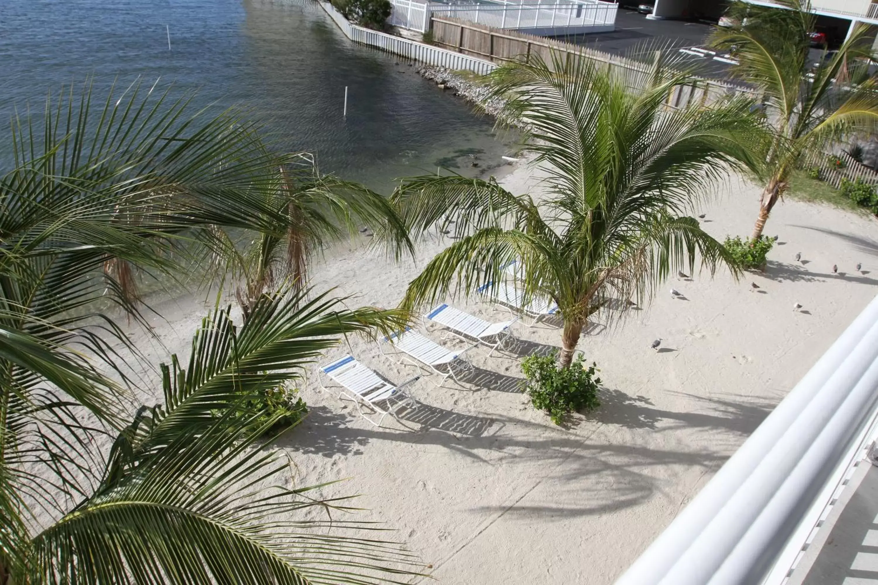 Beach, Pool View in Princess Bayside Beach Hotel