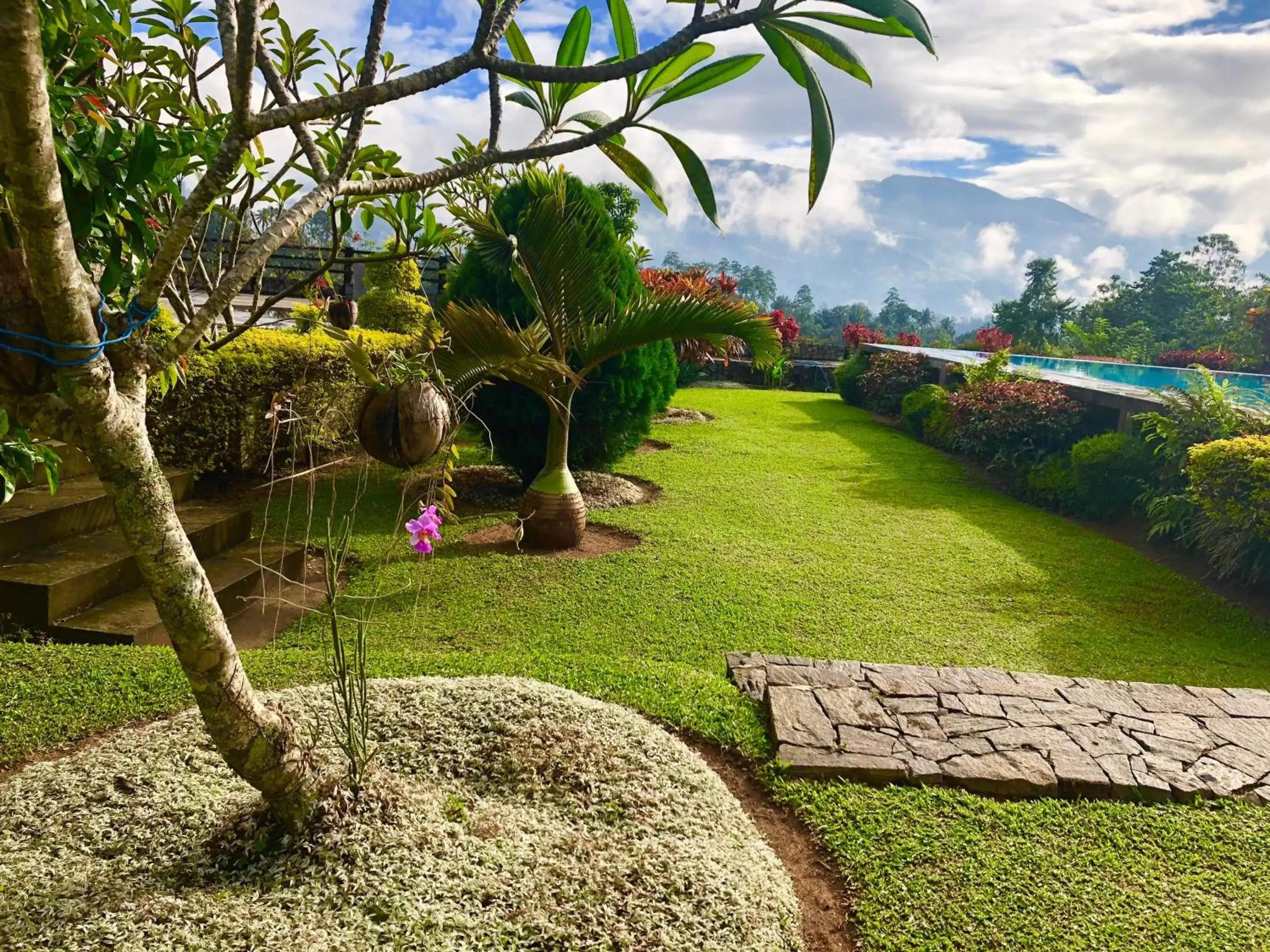 Garden in Elegant Hotel