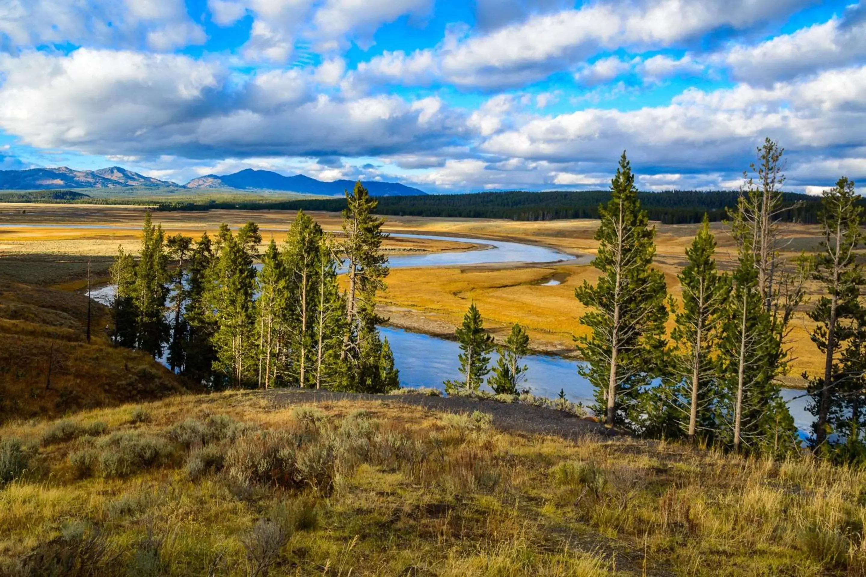 Natural landscape in The Ridgeline Hotel at Yellowstone, Ascend Hotel Collection