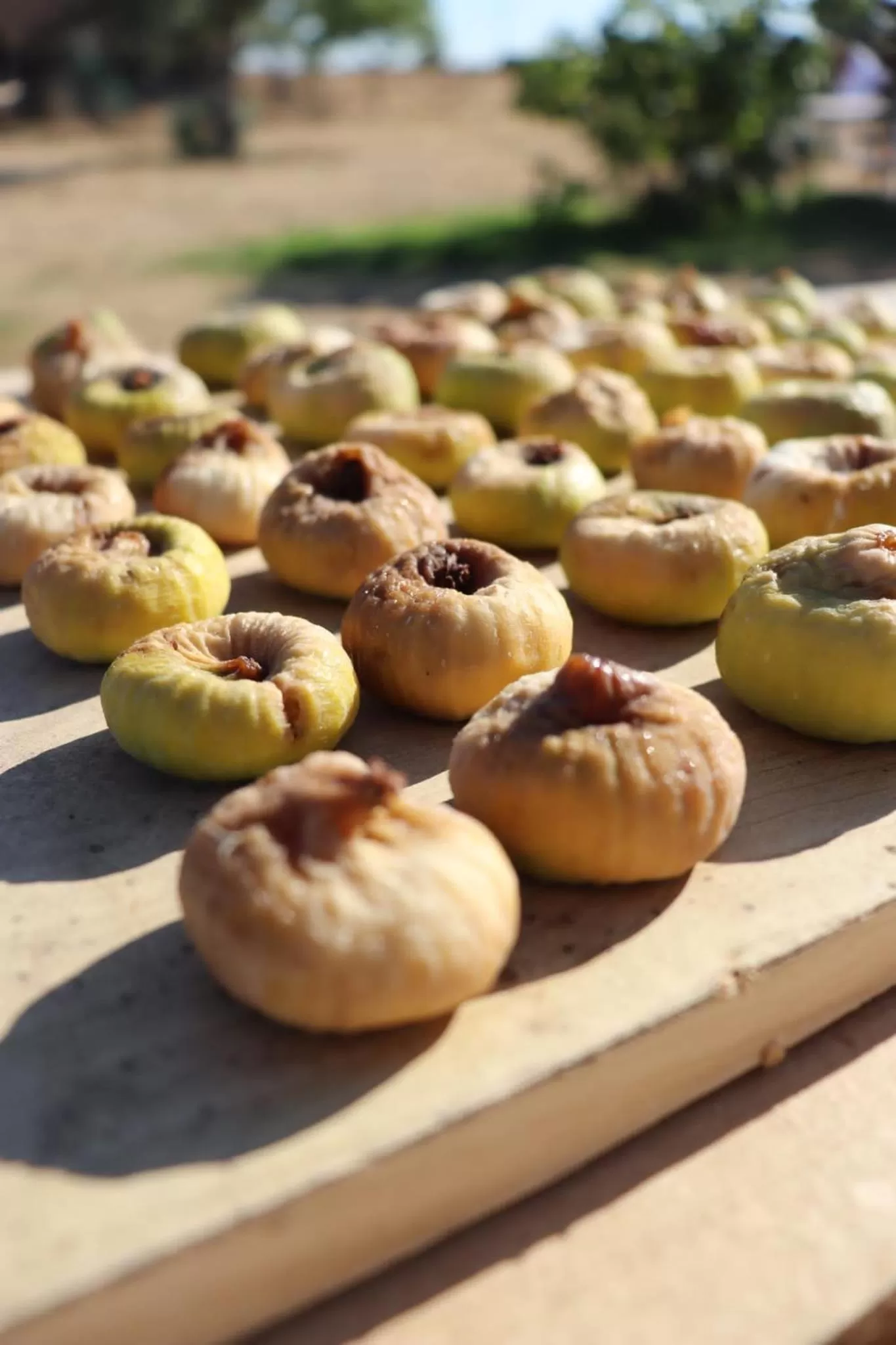 Trendy and Luxe B&B and Garden Suite