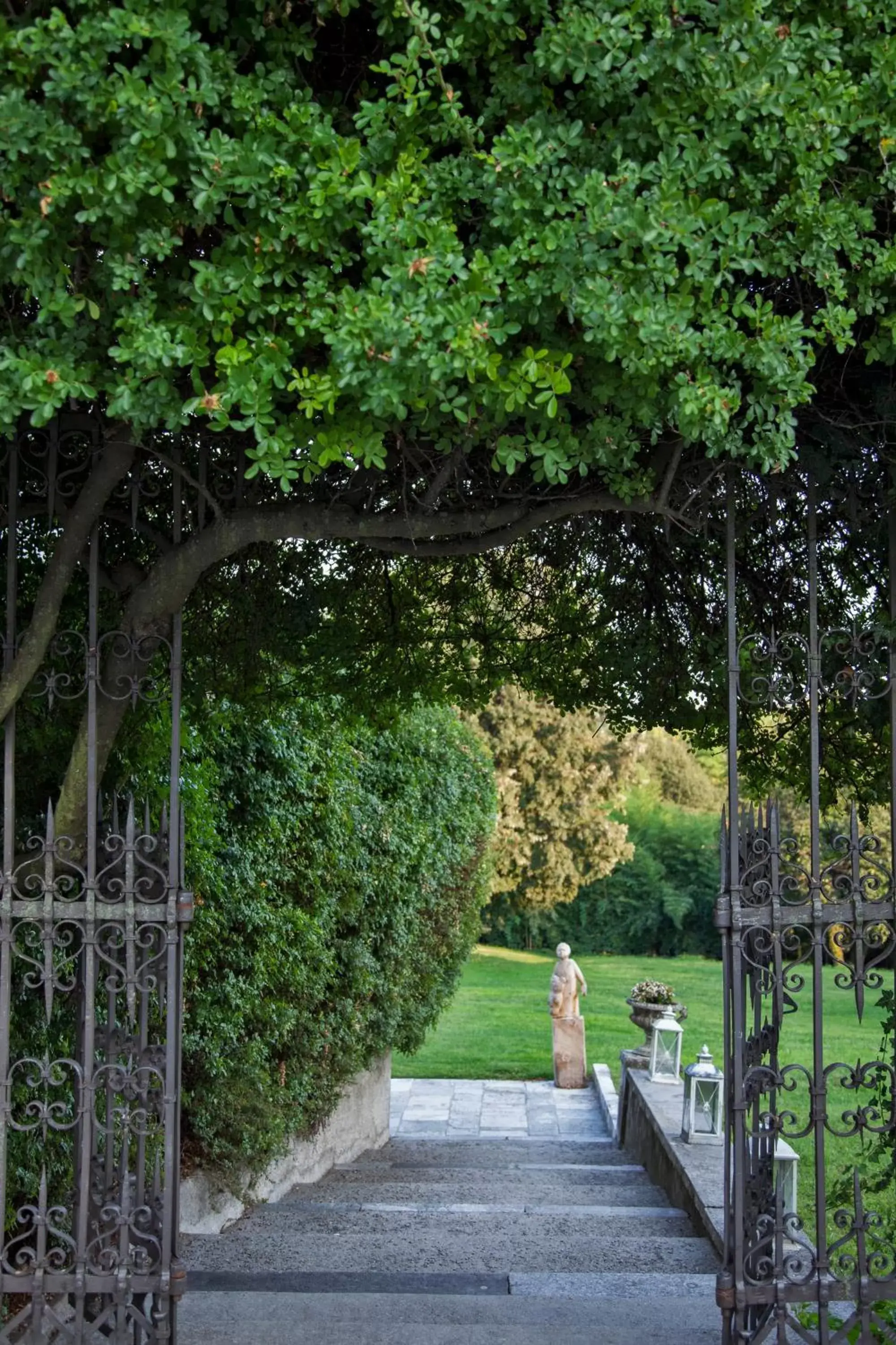 Garden view in Hotel Villa Policreti