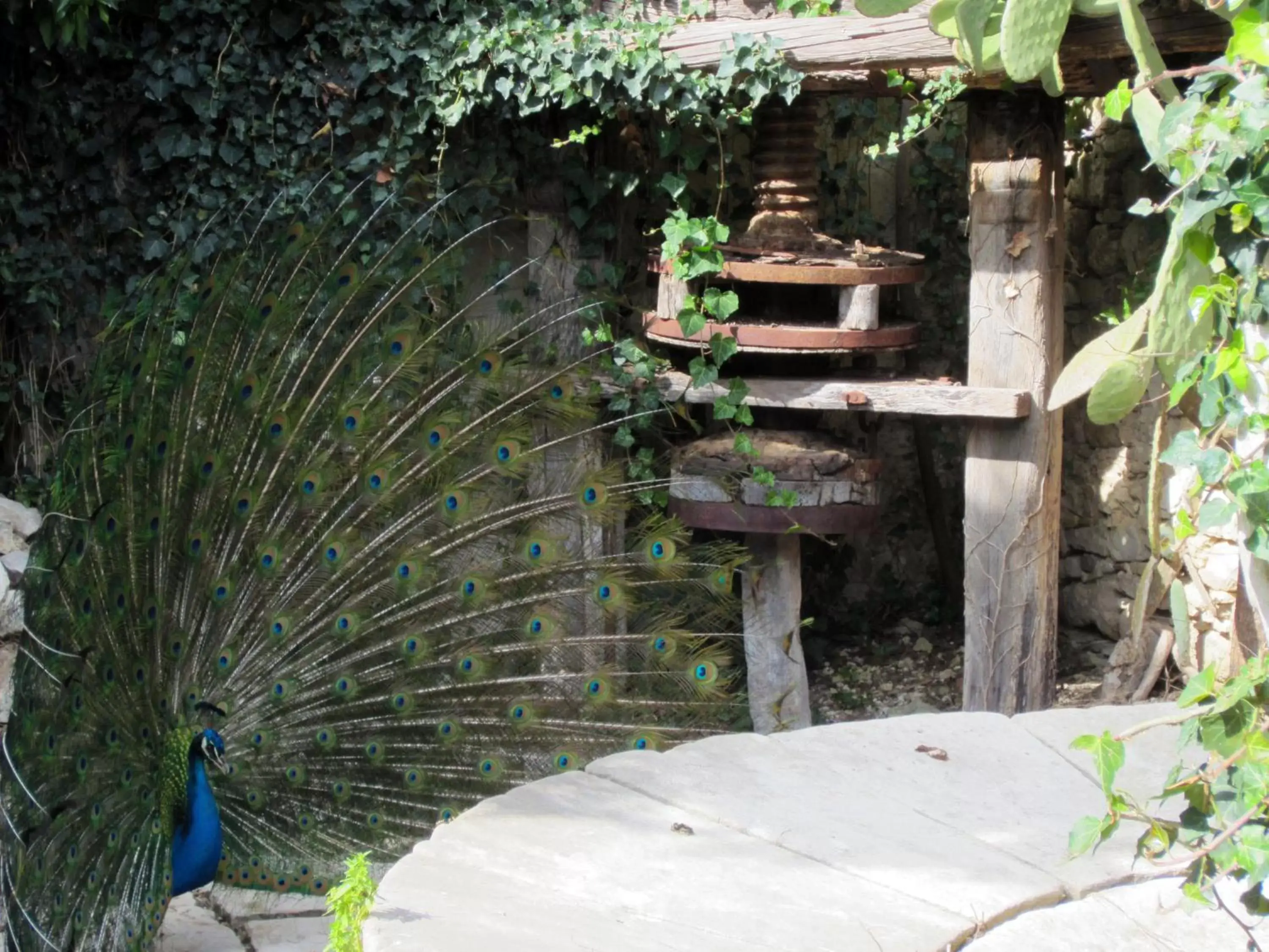 Facade/entrance, BBQ Facilities in Xanadu - Villa Giardinata