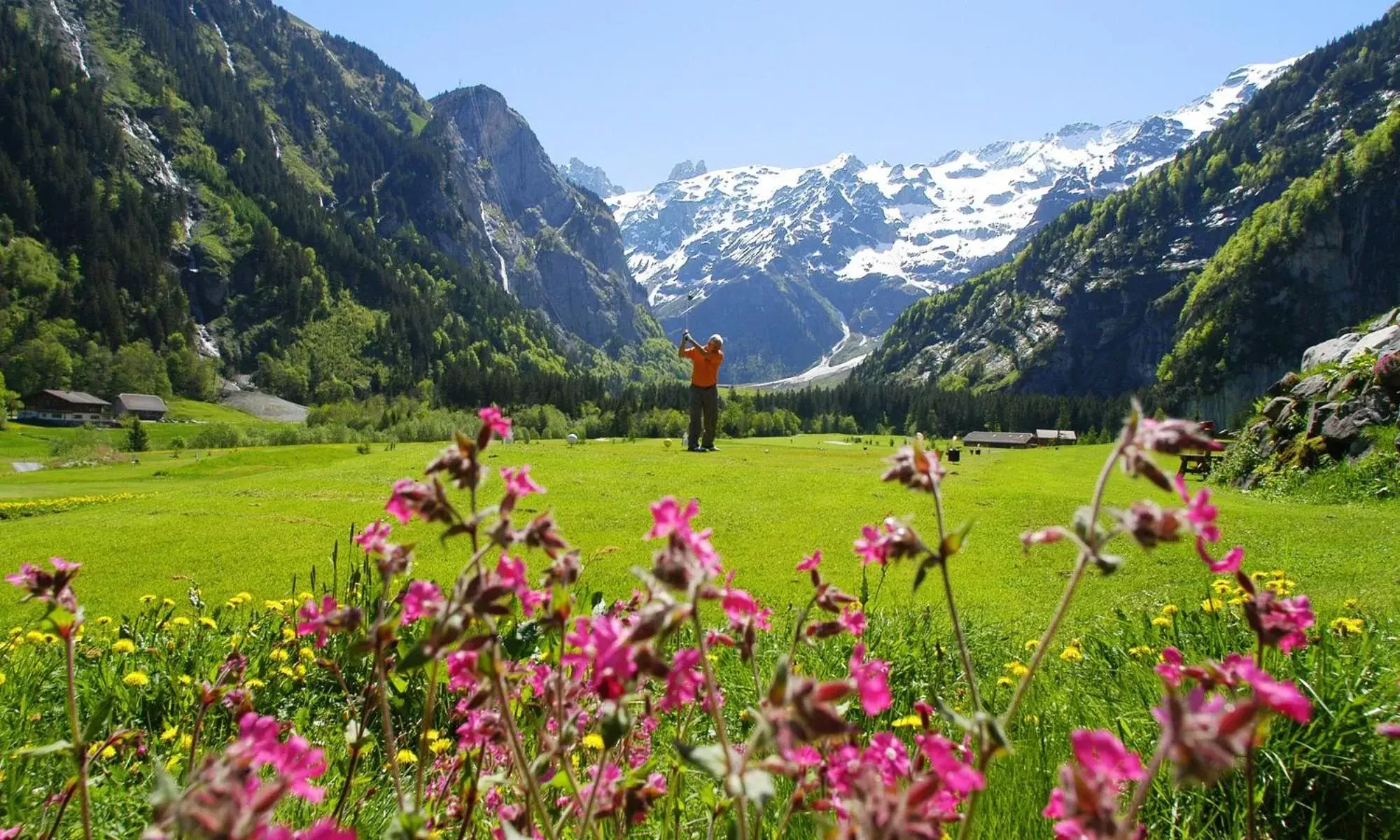 Golfcourse in Alpenclub