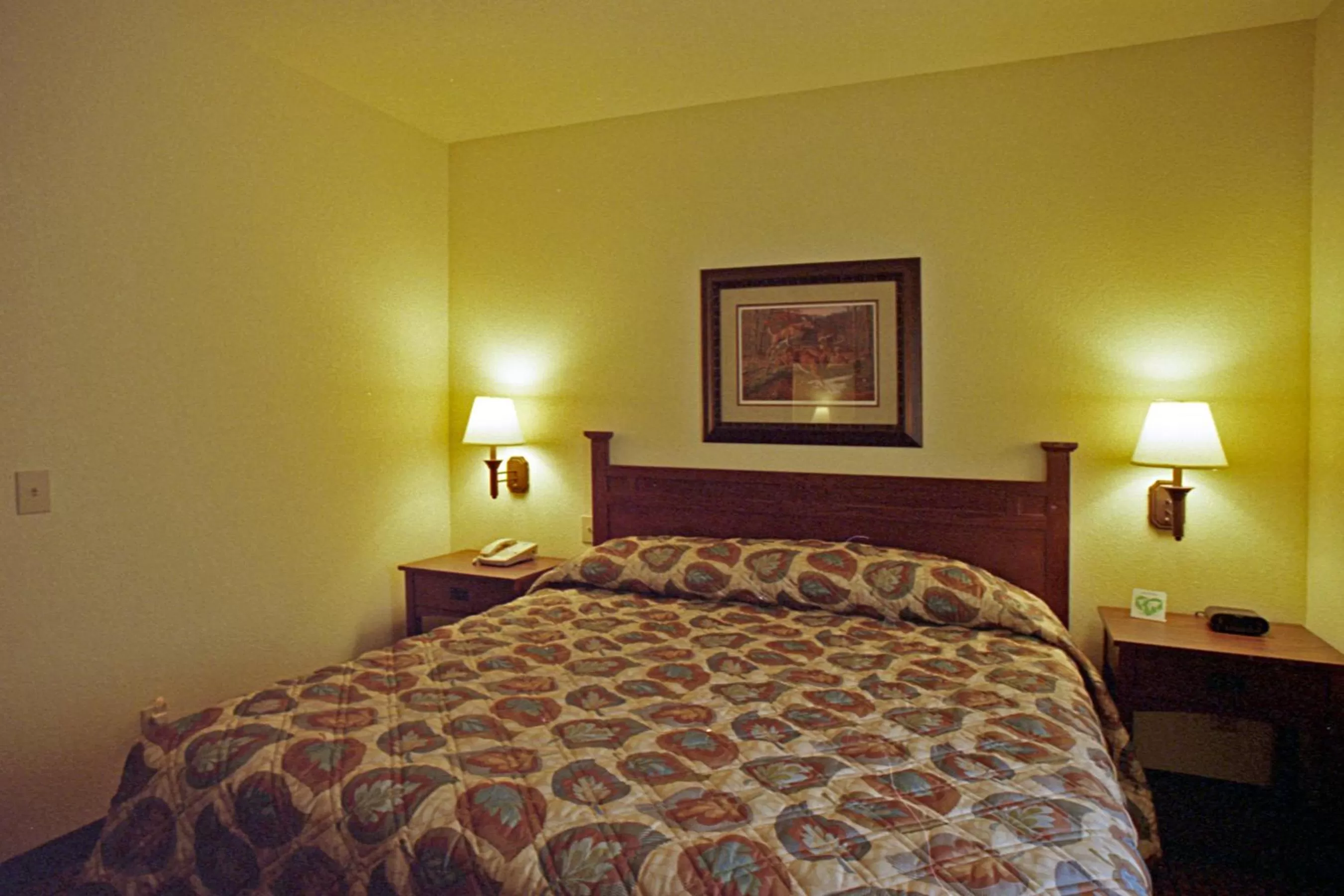 Deluxe King Room in Mountain Inn & Suites Airport - Hendersonville