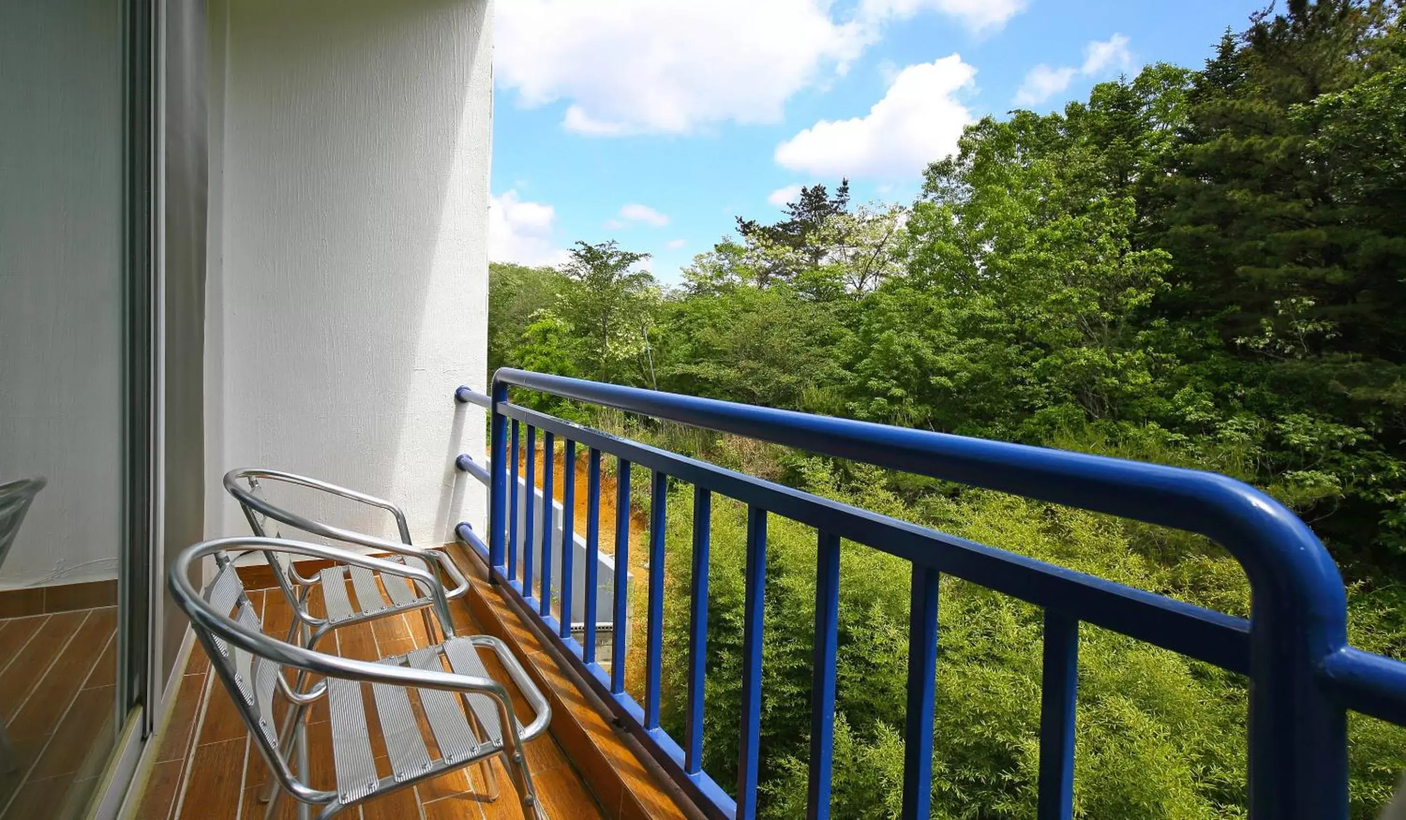 Mountain view, Balcony/Terrace in Benikea Swiss Rosen Hotel