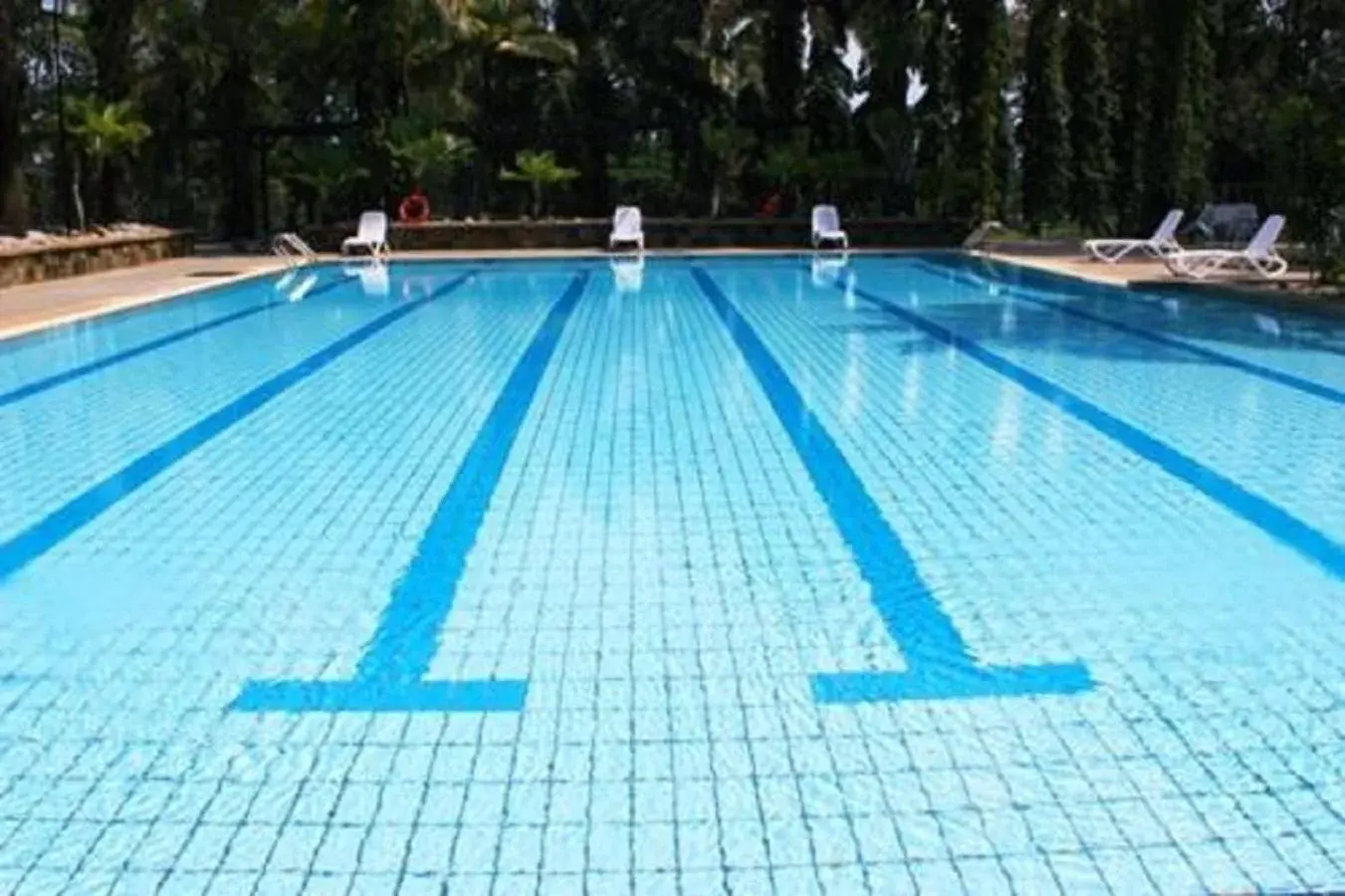 Swimming Pool in Cinta Sayang Resort