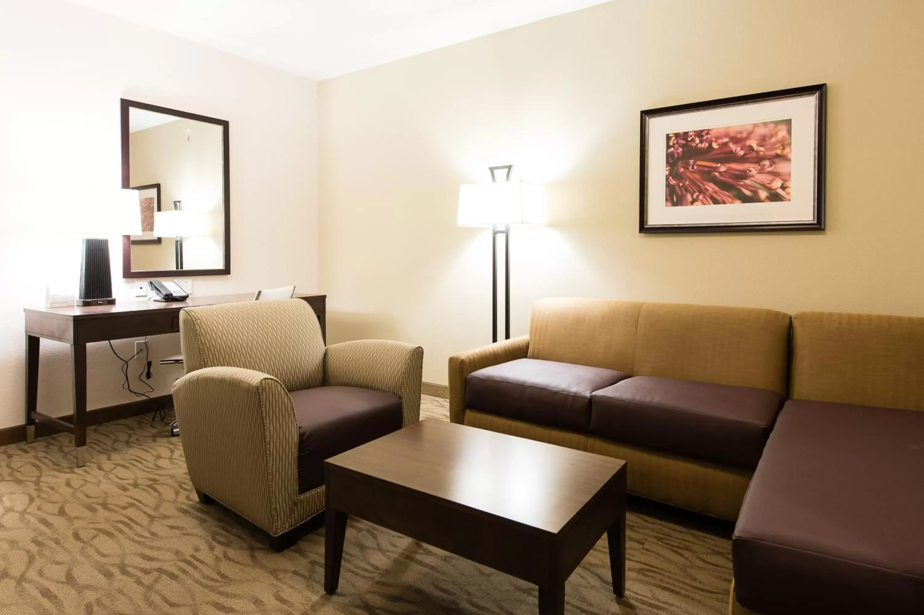 Living room, Seating Area in Holiday Inn Express & Suites Aiken, an IHG Hotel