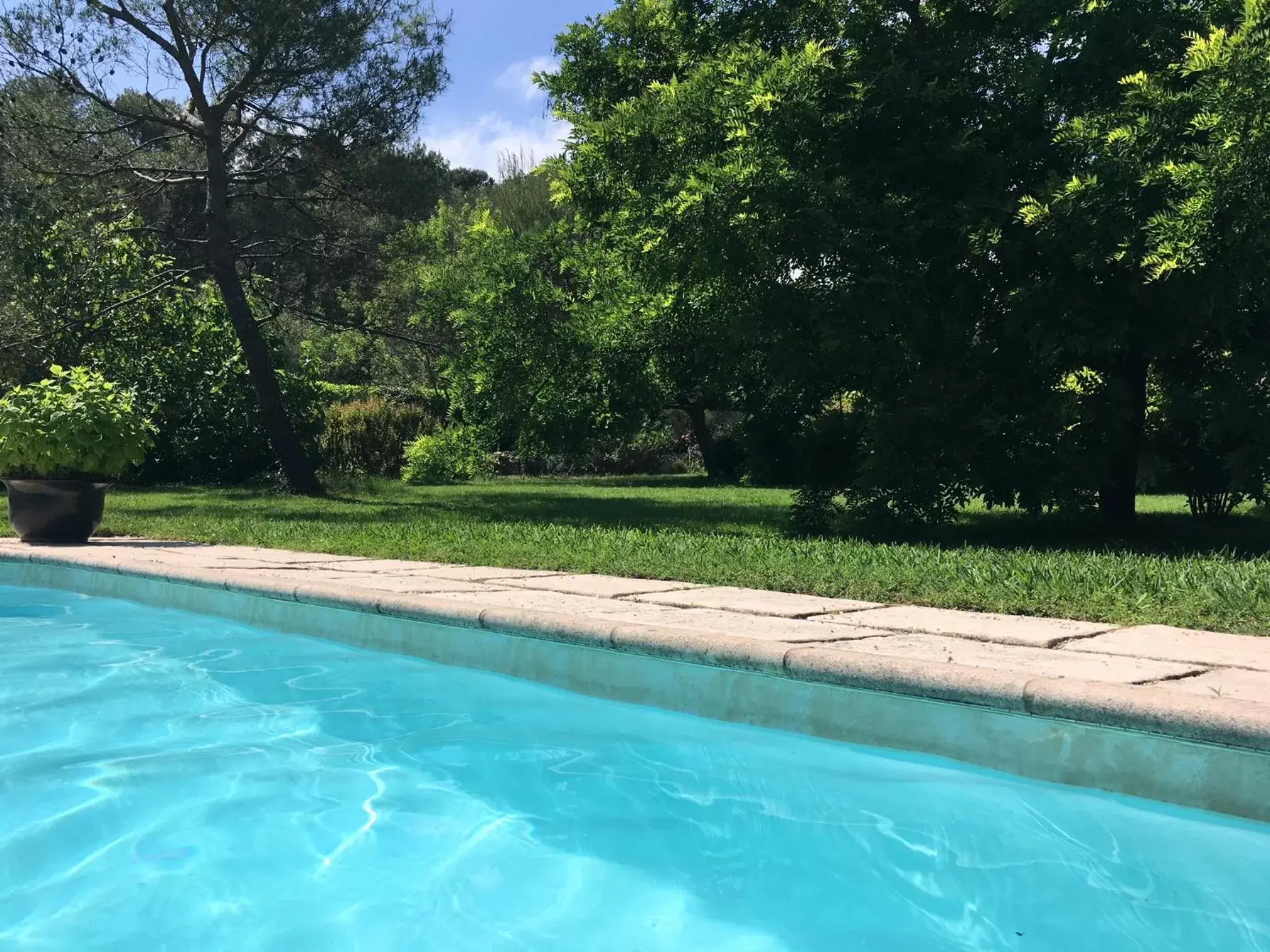 Swimming Pool in Villa de Miha