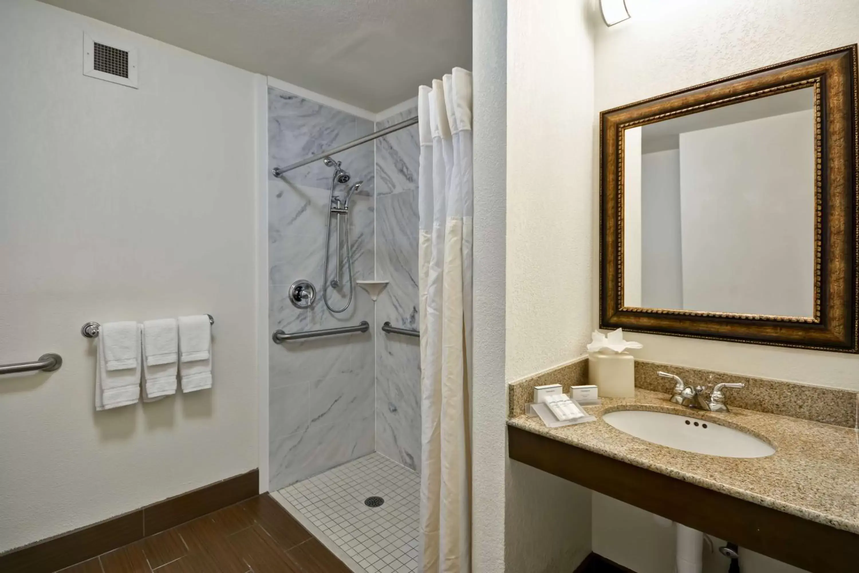 Bathroom in Hilton Garden Inn Sarasota-Bradenton Airport