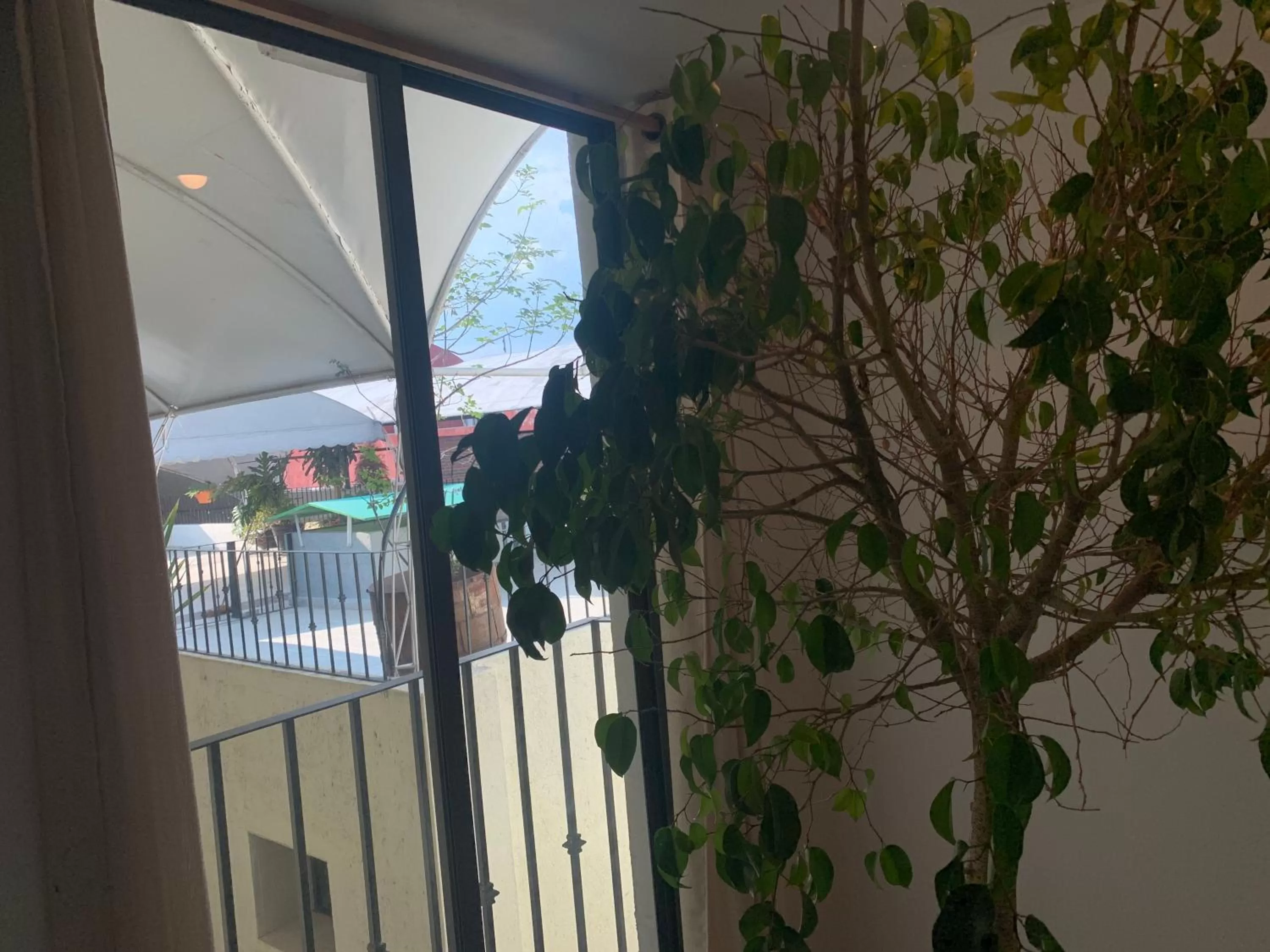 Balcony/Terrace in Hotel Escala Puebla Centro