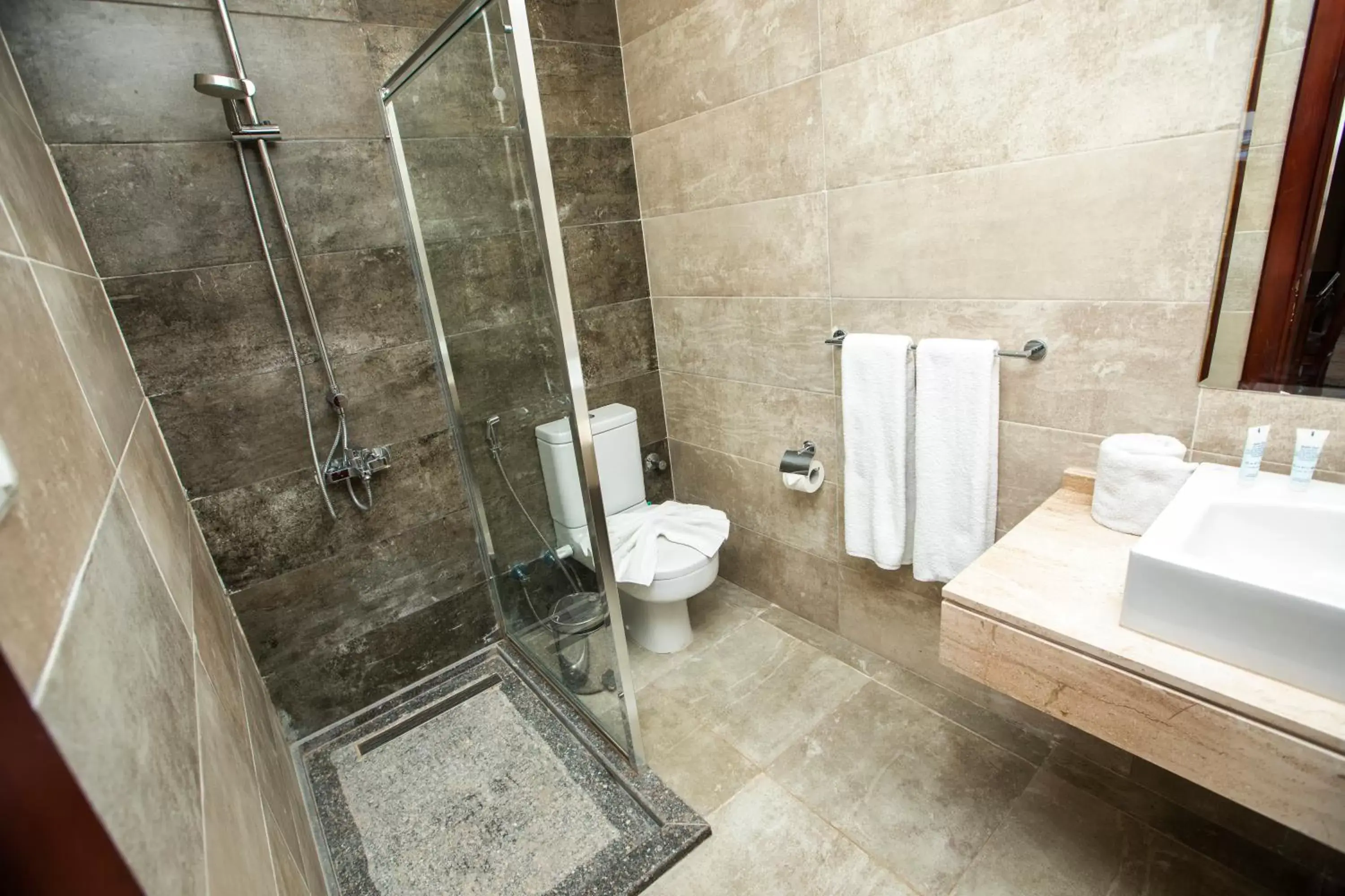 Shower, Bathroom in AIFU Hotel El Montazah Alexandria