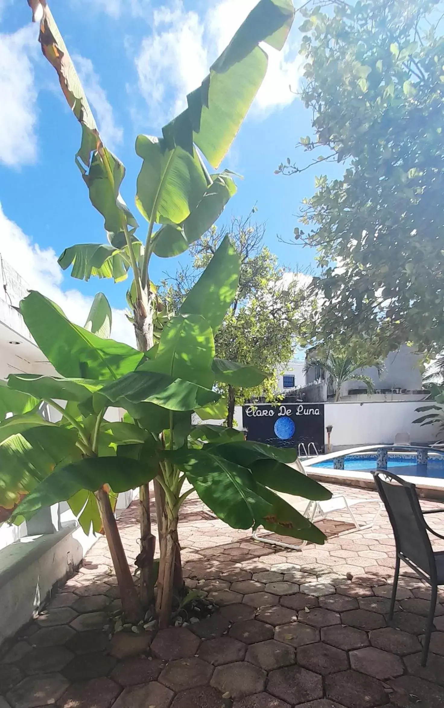 Garden, Swimming Pool in Claro de Luna