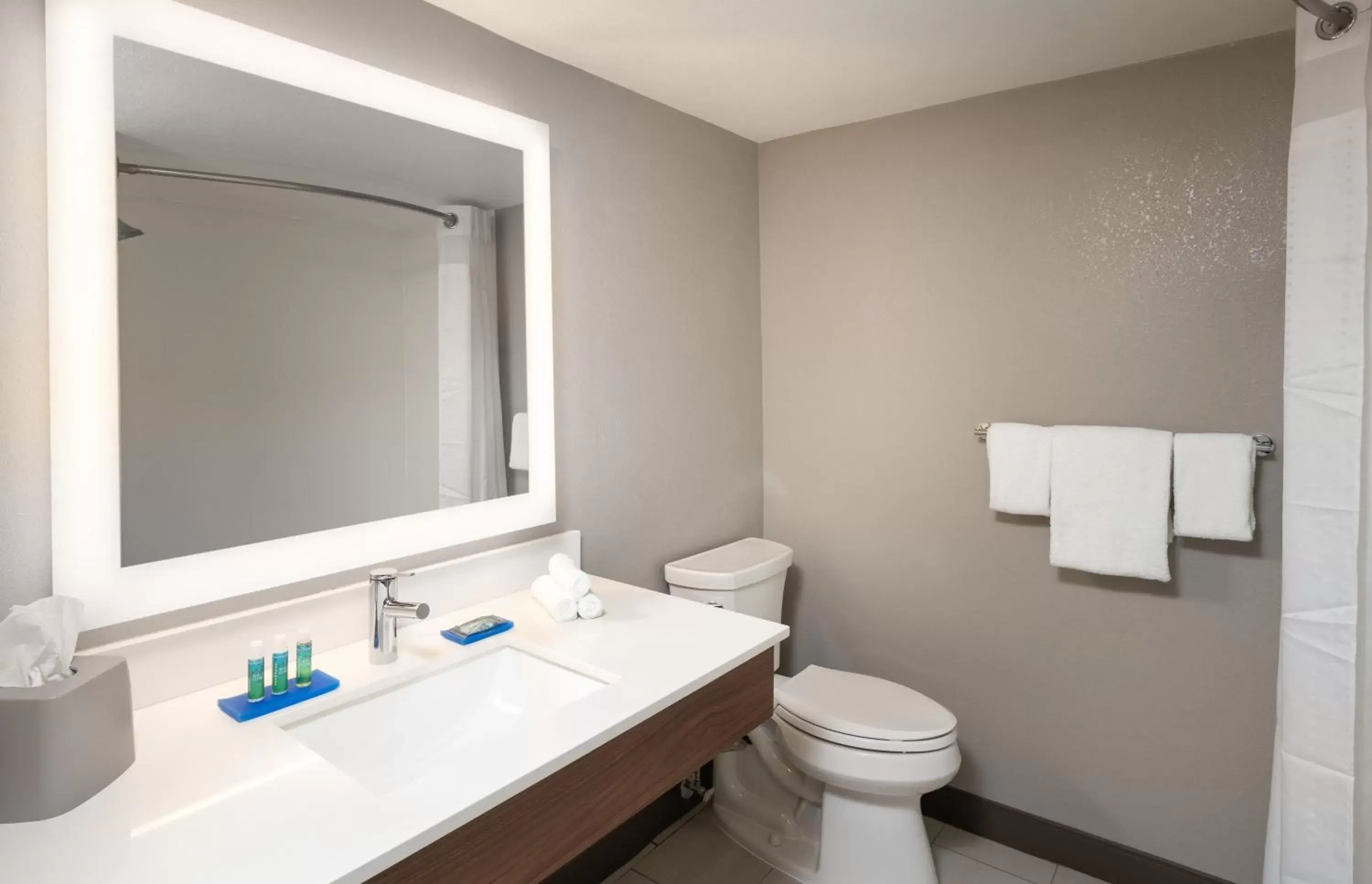 Photo of the whole room, Bathroom in Holiday Inn Express Boca Raton - West, an IHG Hotel
