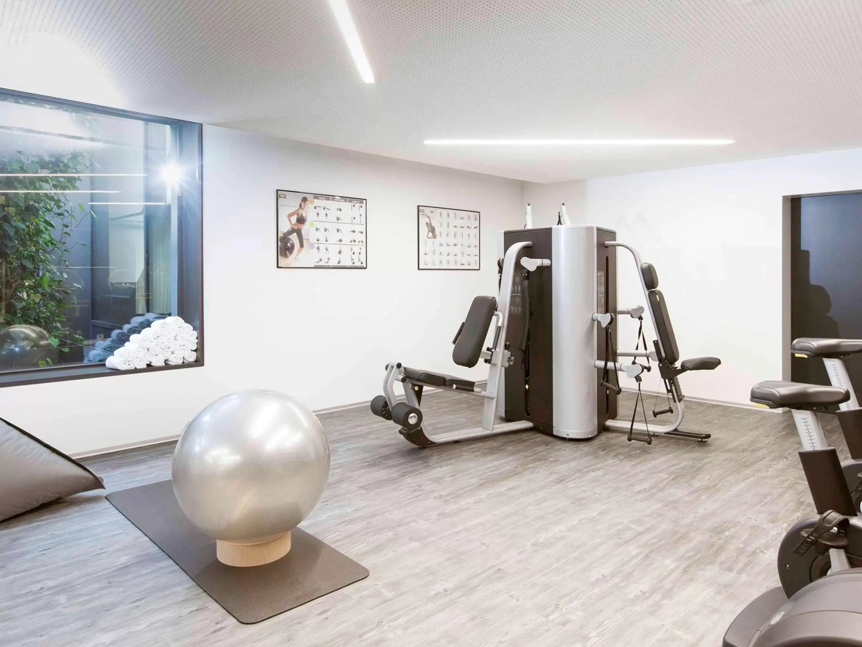 Fitness centre/facilities, Fitness Center/Facilities in Novotel Basel City