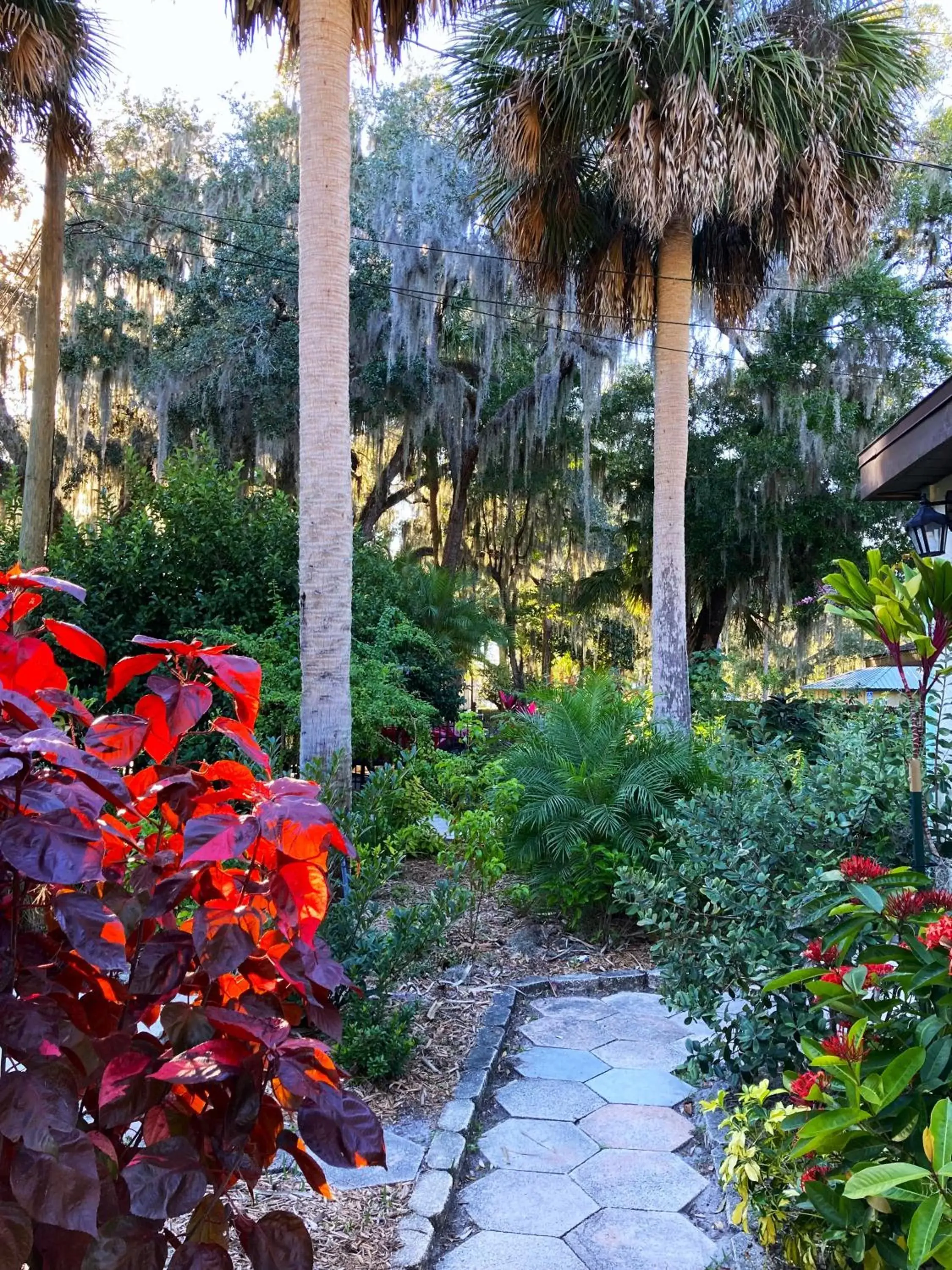 Garden in Retreat at Crystal Manatee