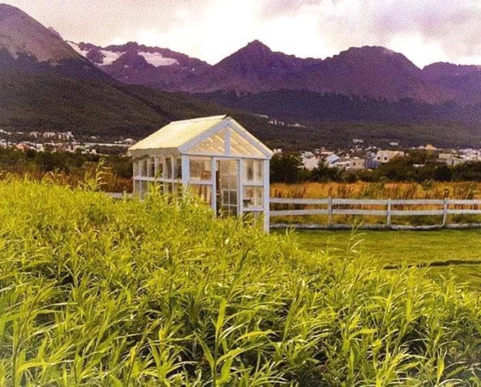 Property building in Cerro Krund