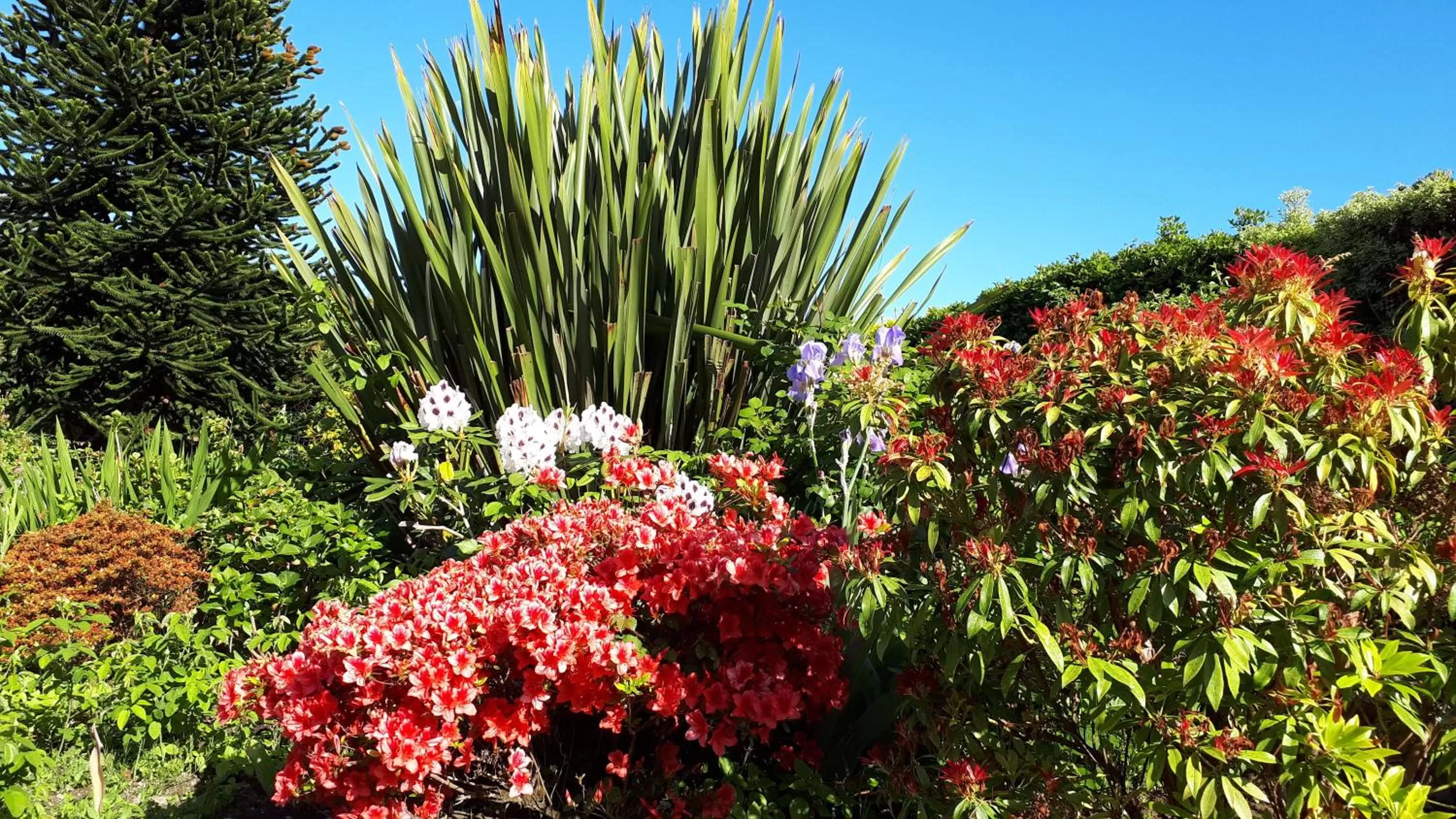 Garden in La Maison Keribin