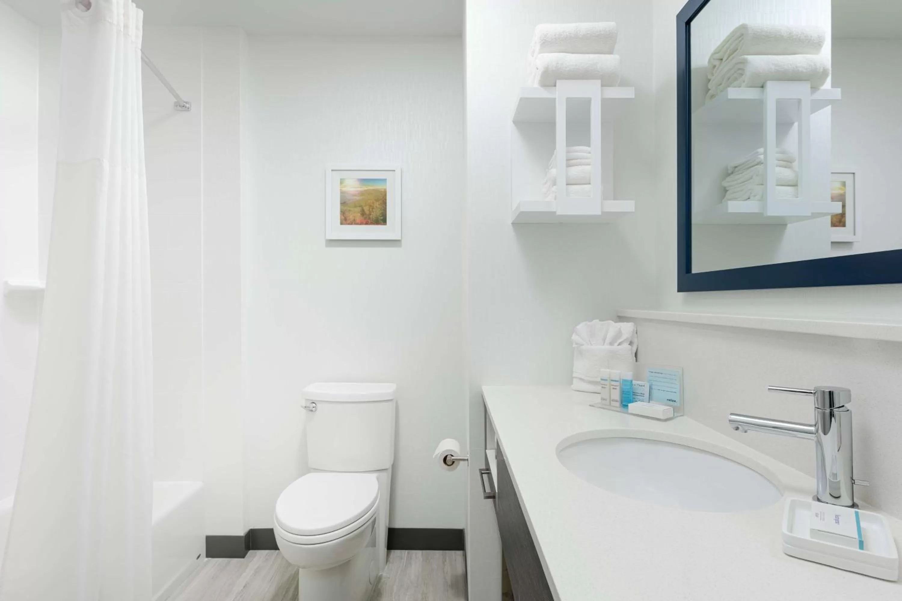 Bathroom in Hampton Inn by Hilton Ashland City, Tn