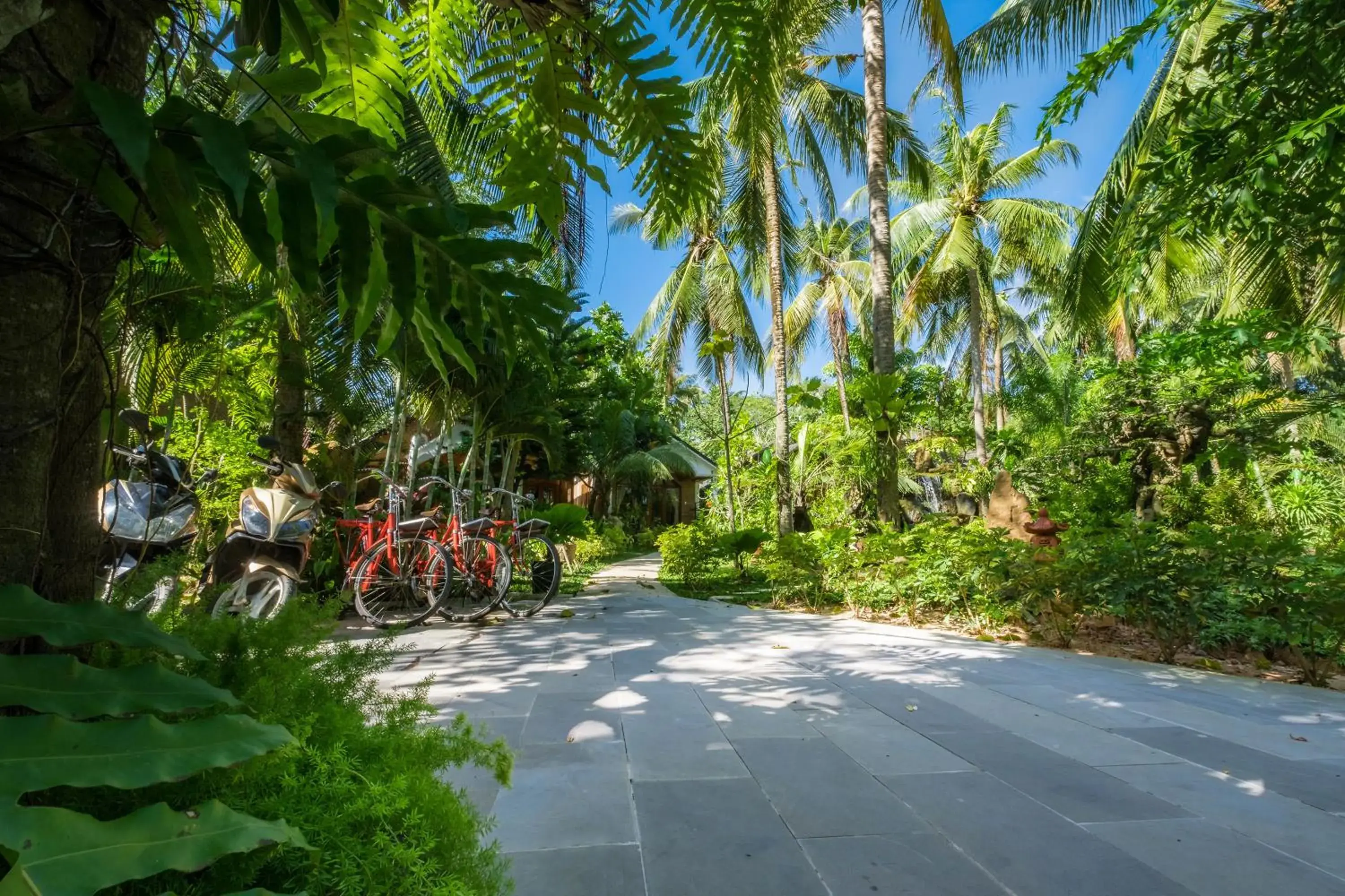 Garden in Coco Palm Beach Resort & Spa