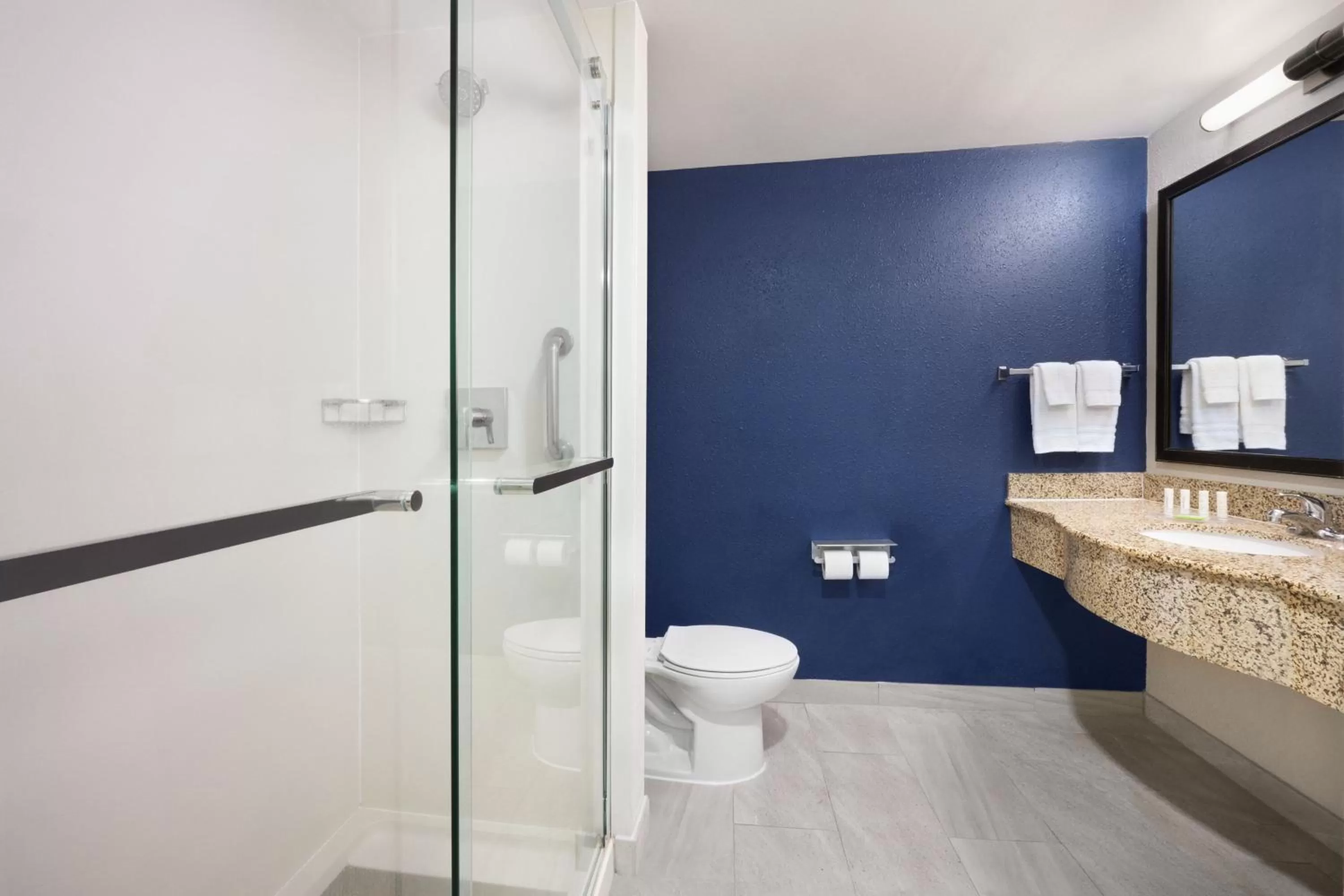 King Room with Adapted Tub - Mobility and Hearing Accessible in Fairfield Inn & Suites By Marriott Hinesville Fort Stewart