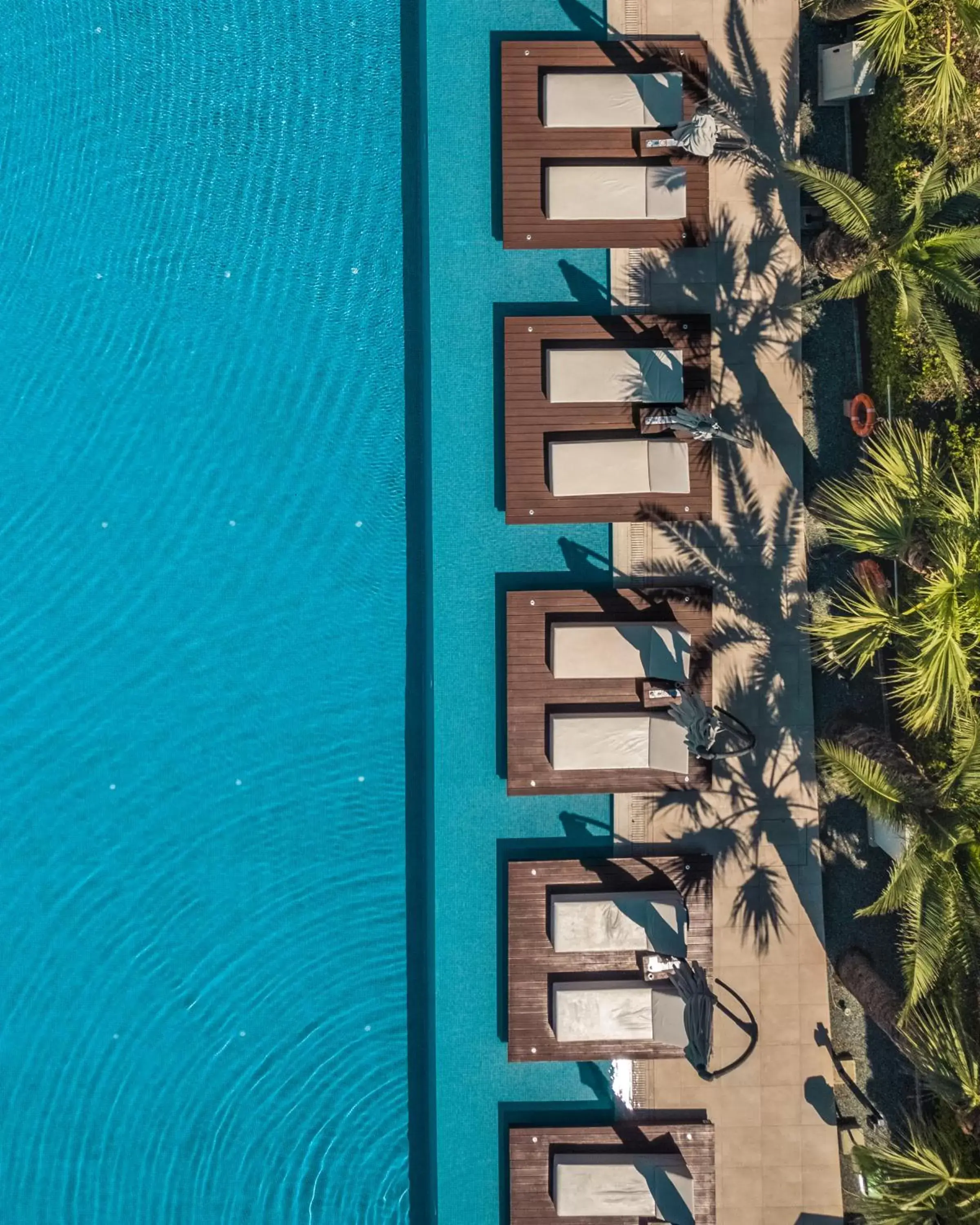 Swimming Pool in Nestor Hotel