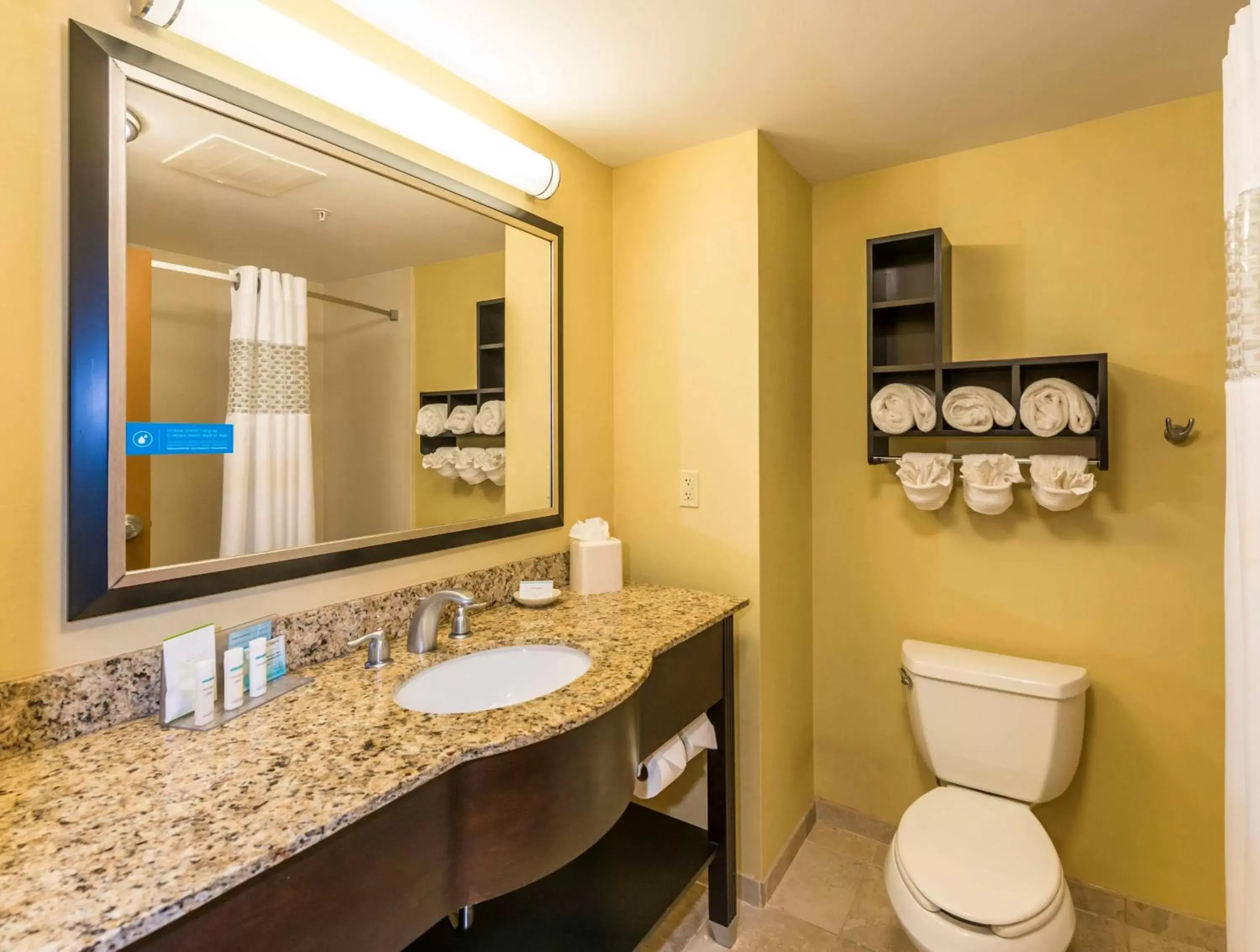 Bathroom in Hampton Inn & Suites Jacksonville South - Bartram Park