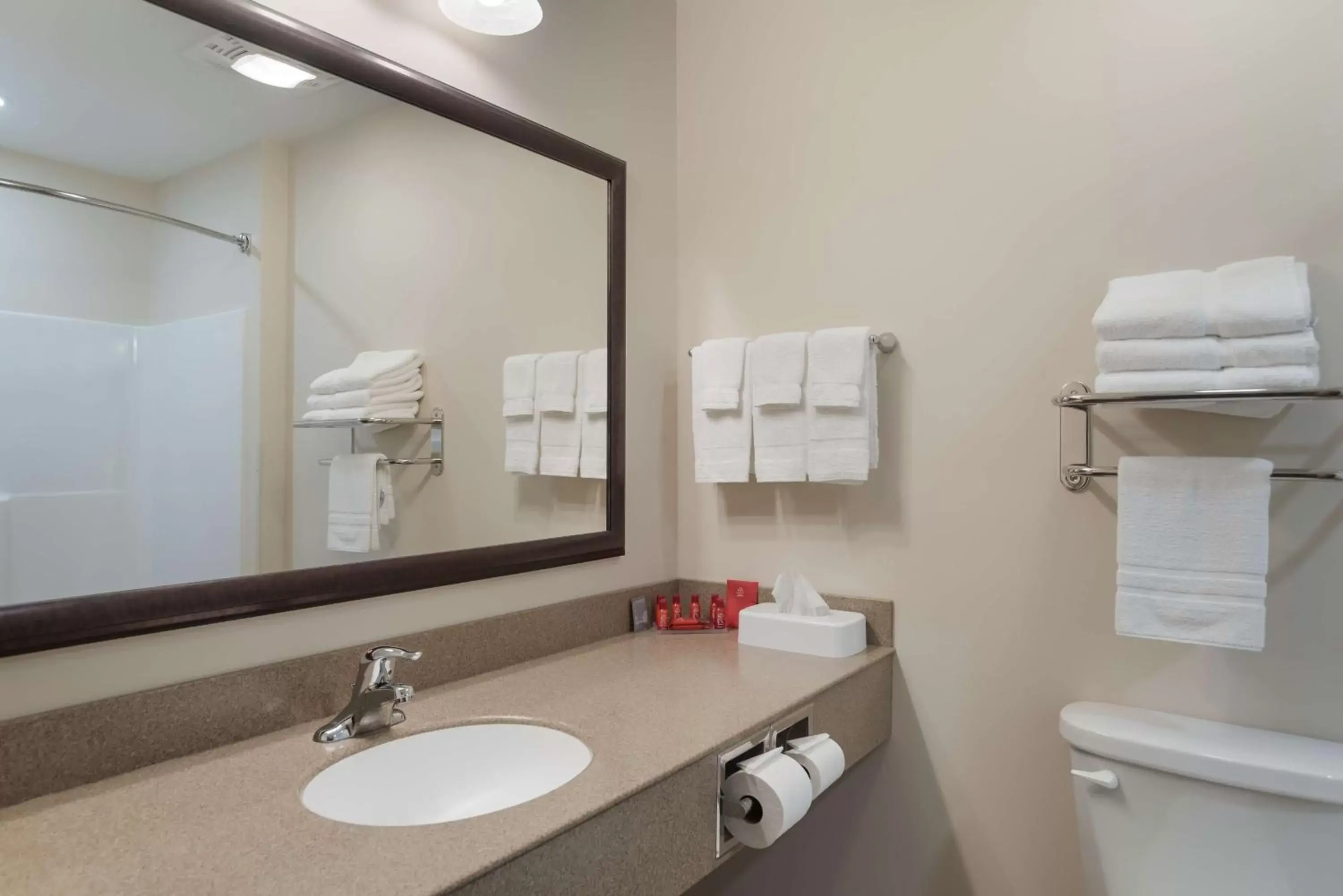 Bathroom in SureStay Plus Hotel by Best Western Elizabethtown Hershey