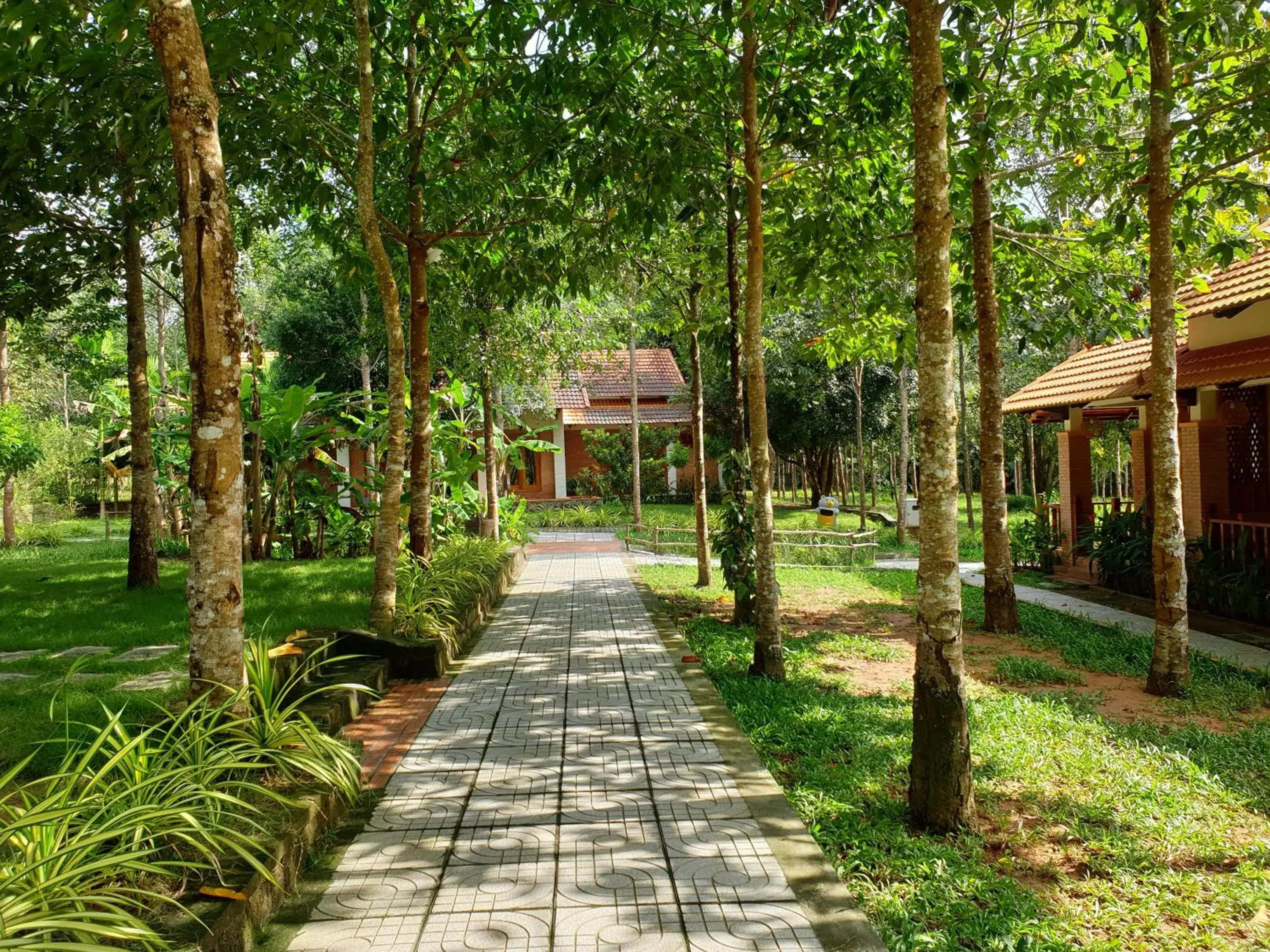 View (from property/room), Garden in The Garden House Phu Quoc Resort