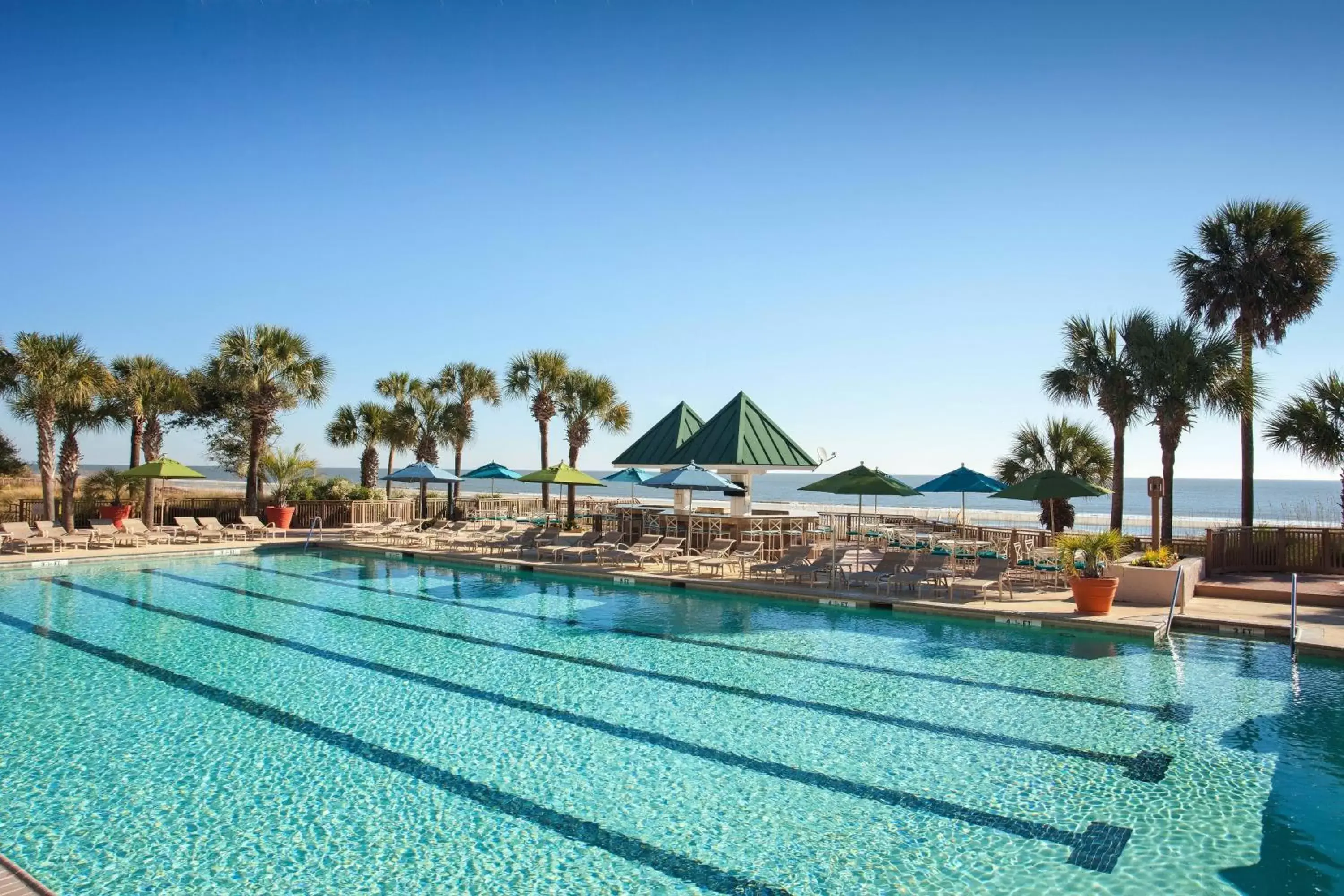 Swimming pool in Hilton Beachfront Resort & Spa Hilton Head Island Swimming pool in Hilton Beachfront Resort & Spa Hilton Head Island