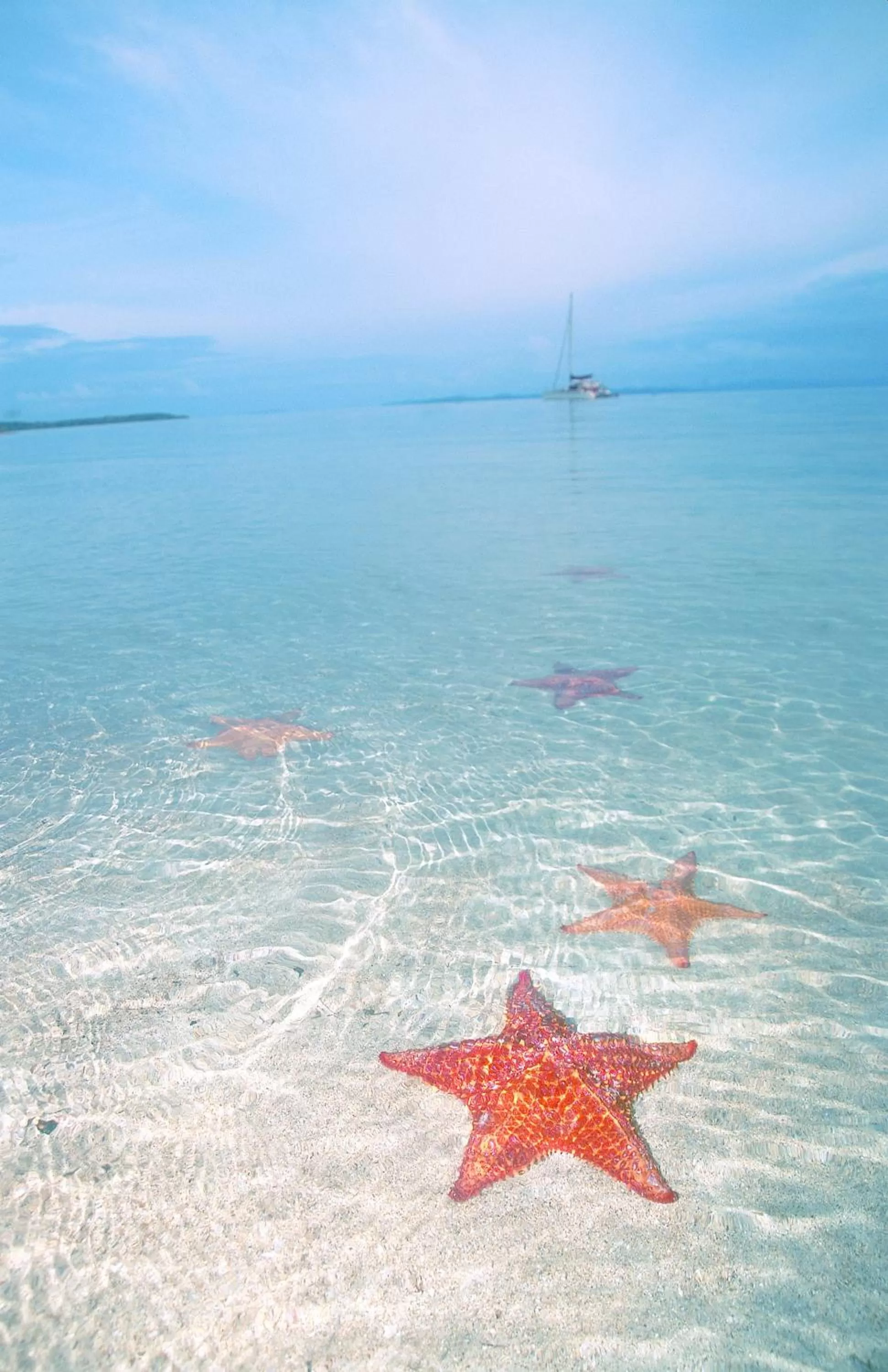 Beach in Punta Caracol Acqua Lodge
