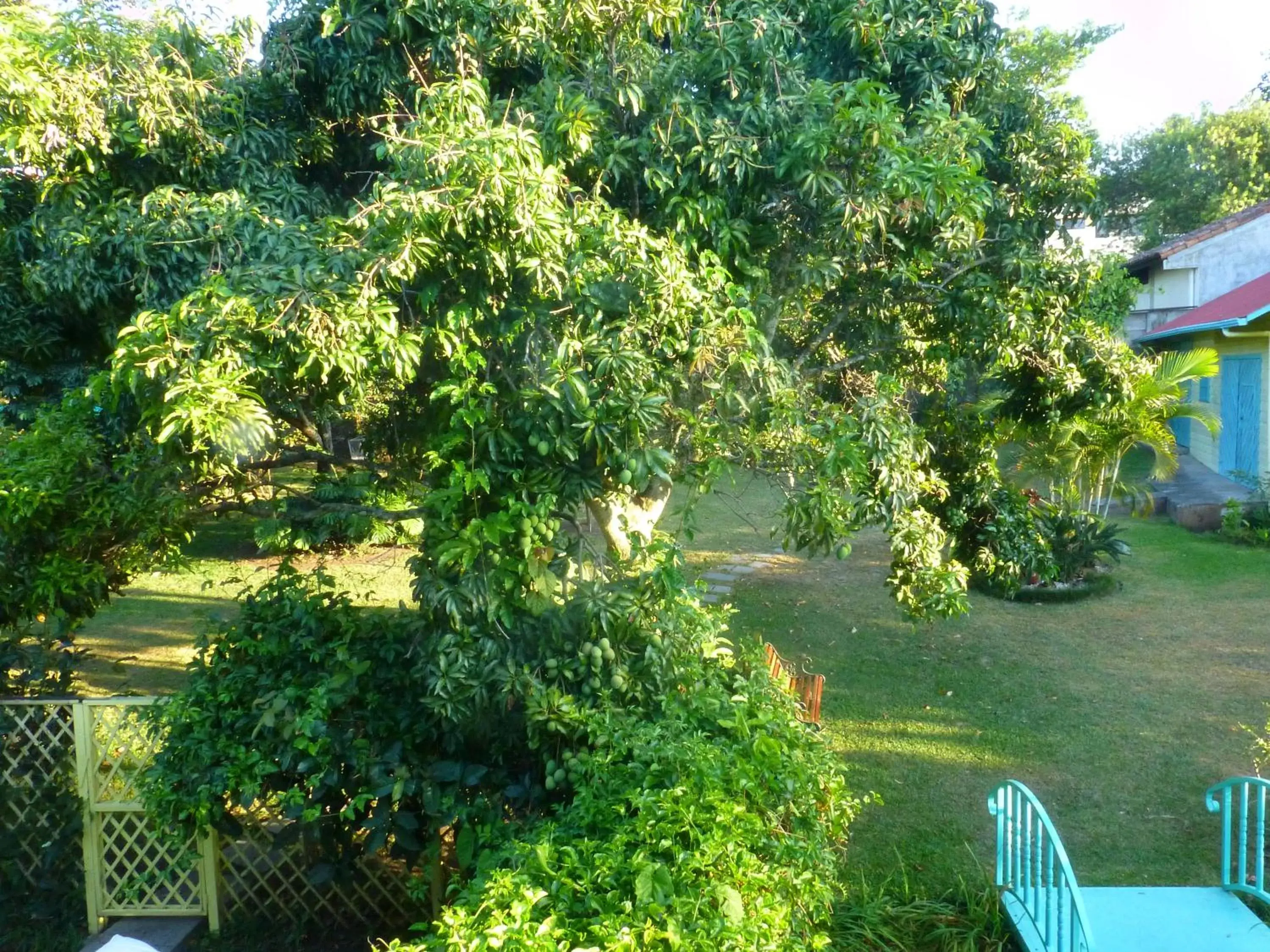 Garden view, Garden in Casa De Las Tias