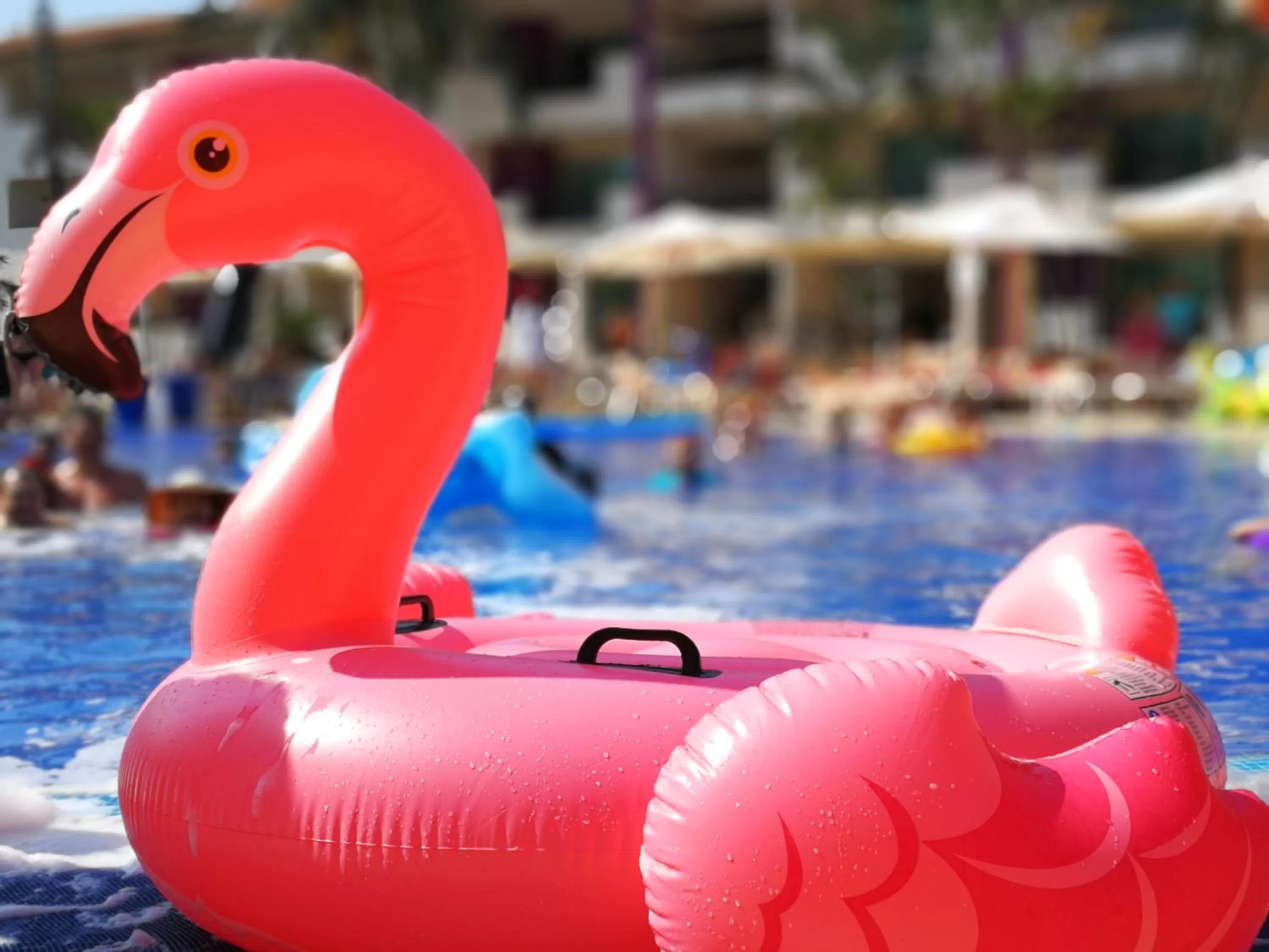 Swimming pool in Crown Paradise Club Puerto Vallarta All Inclusive