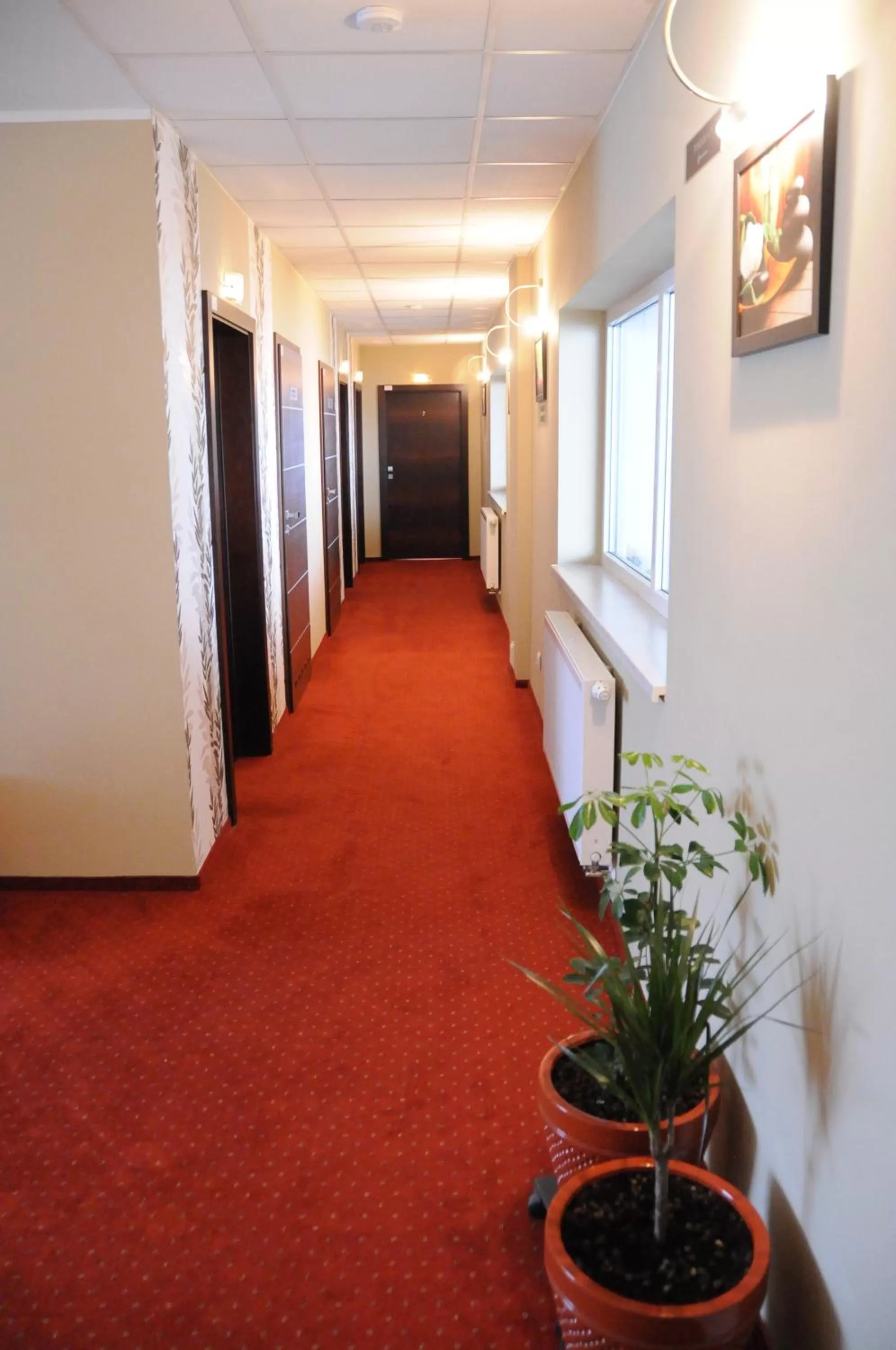 Property building in Tenis Club