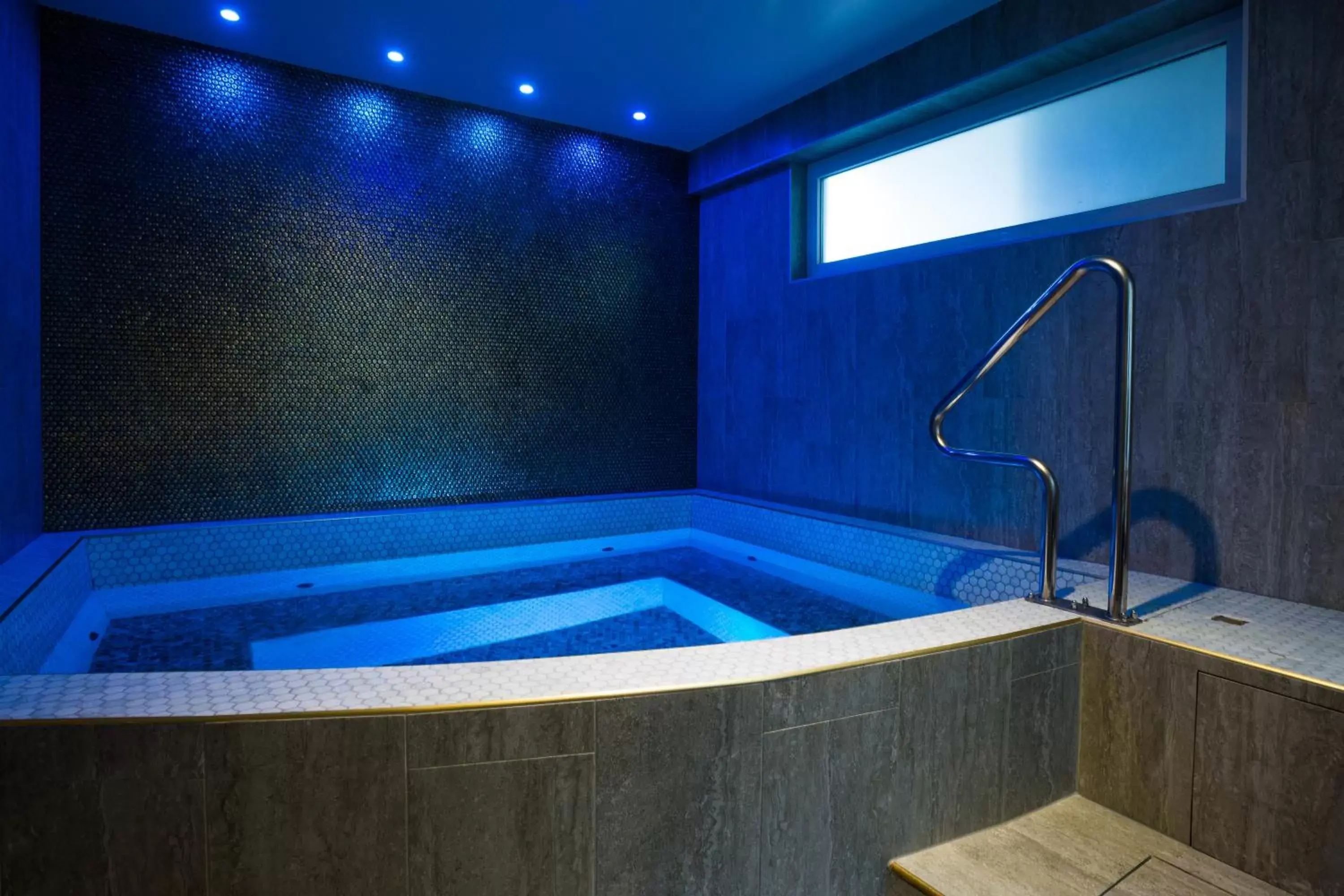 Spa and wellness centre/facilities, Swimming Pool in Fable Auckland, MGallery