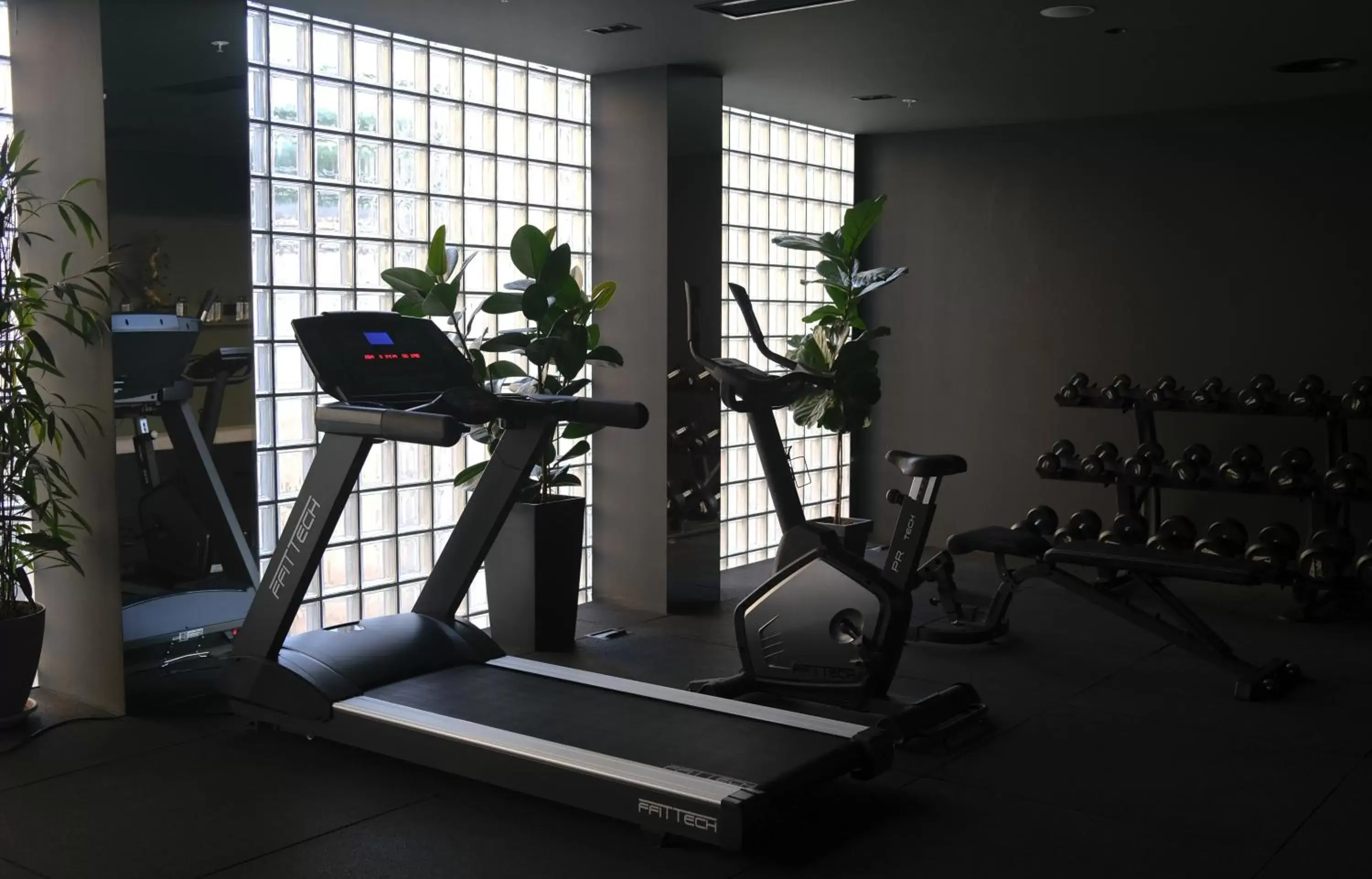 Sports, Fitness Center/Facilities in Episode Tbilisi