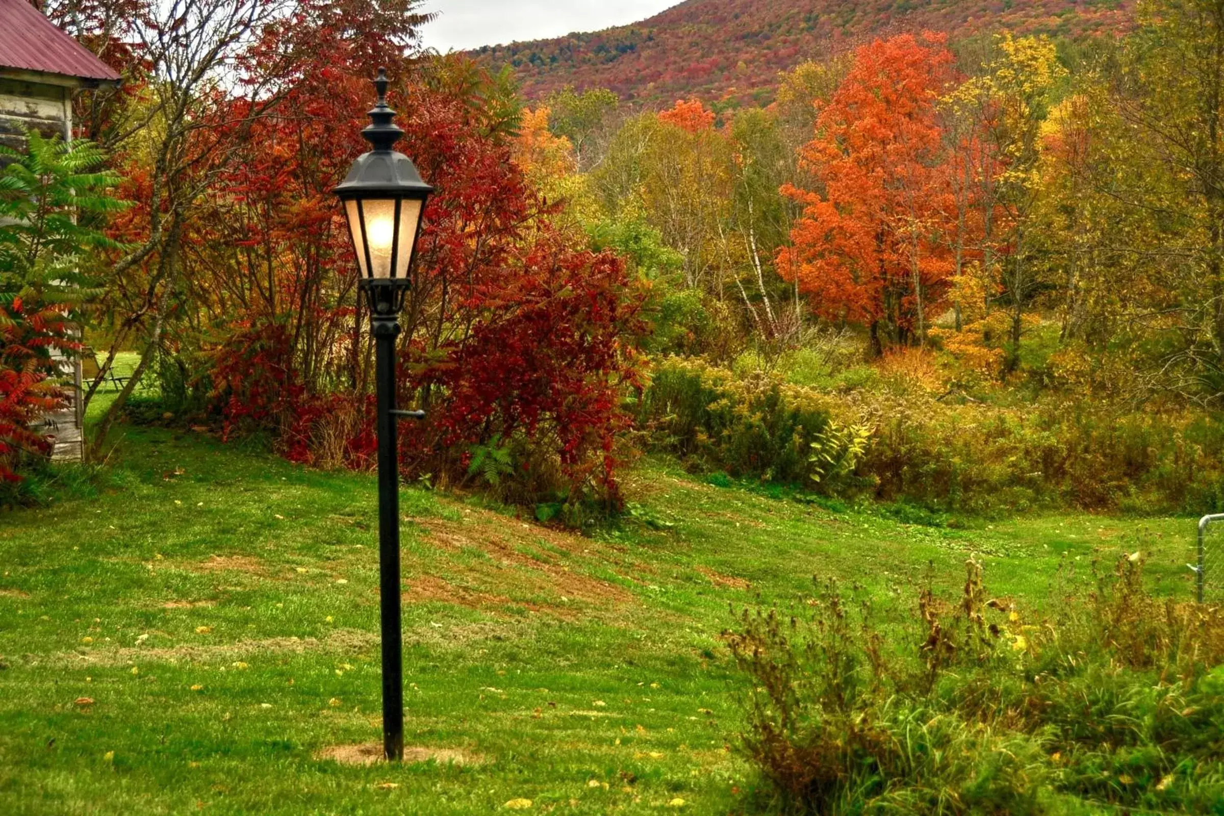 Garden view in Mountain Treasure Bed and Breakfast