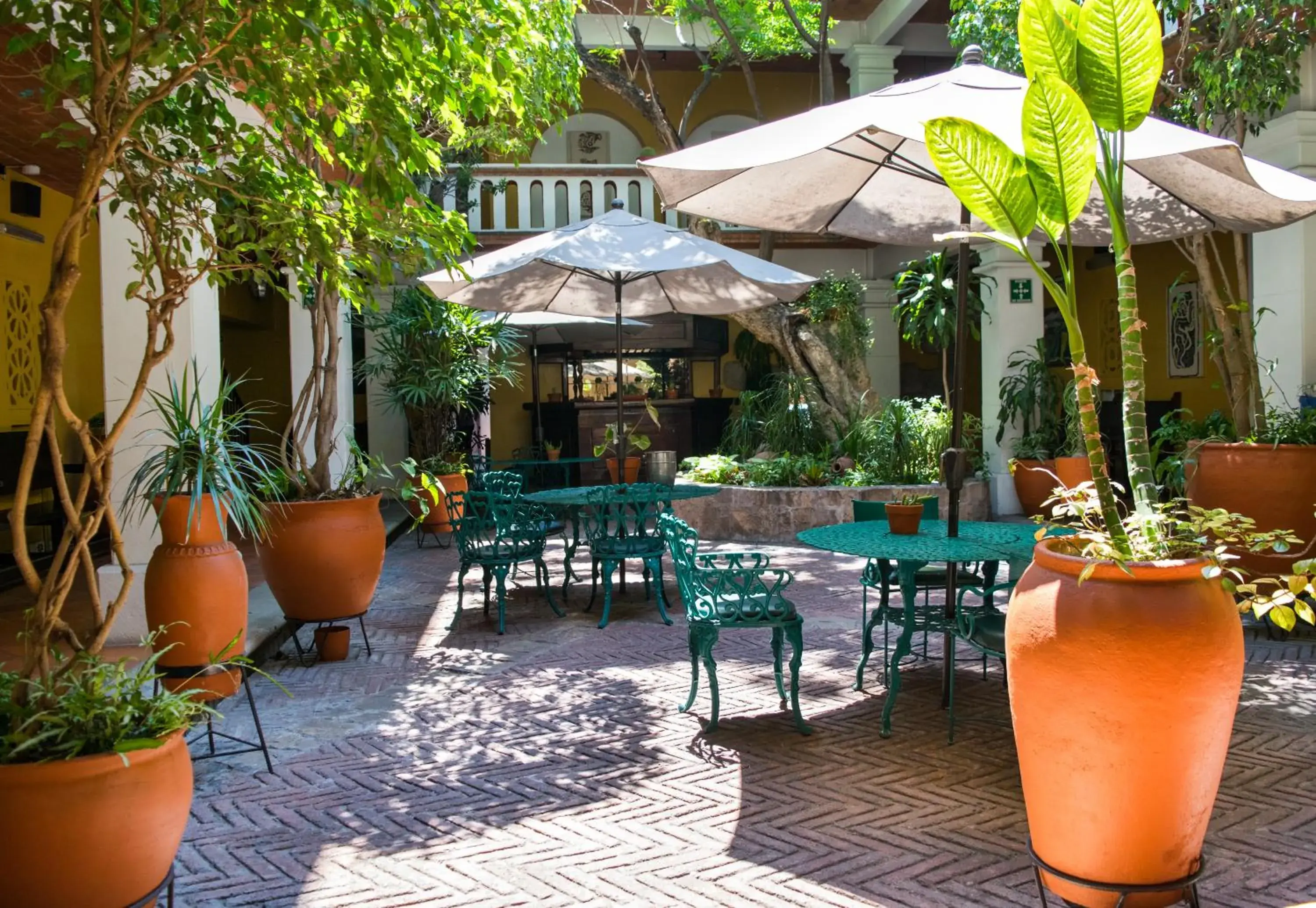 Garden in Parador del Dominico