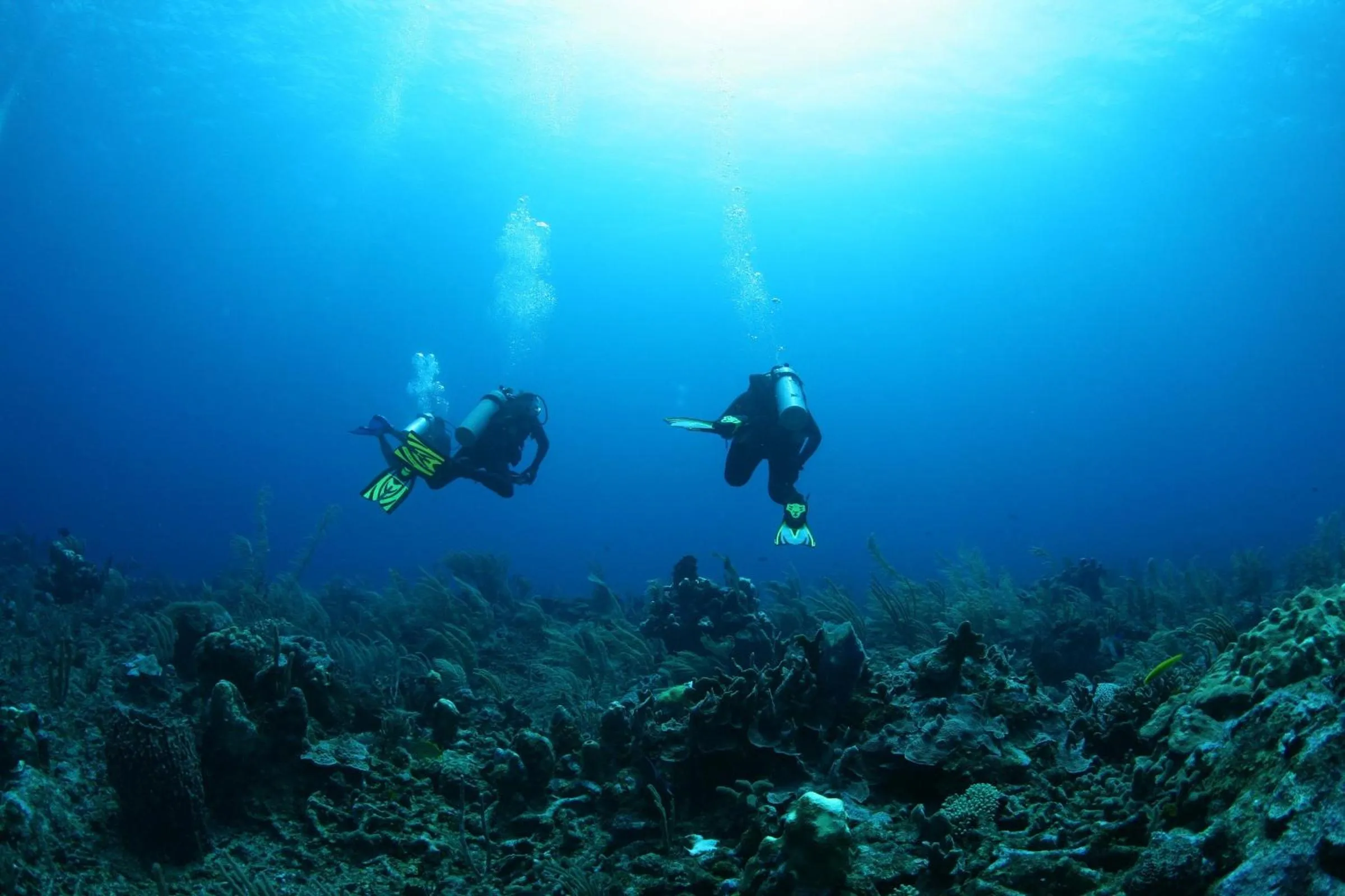 Snorkeling in Ramon's Village Resort